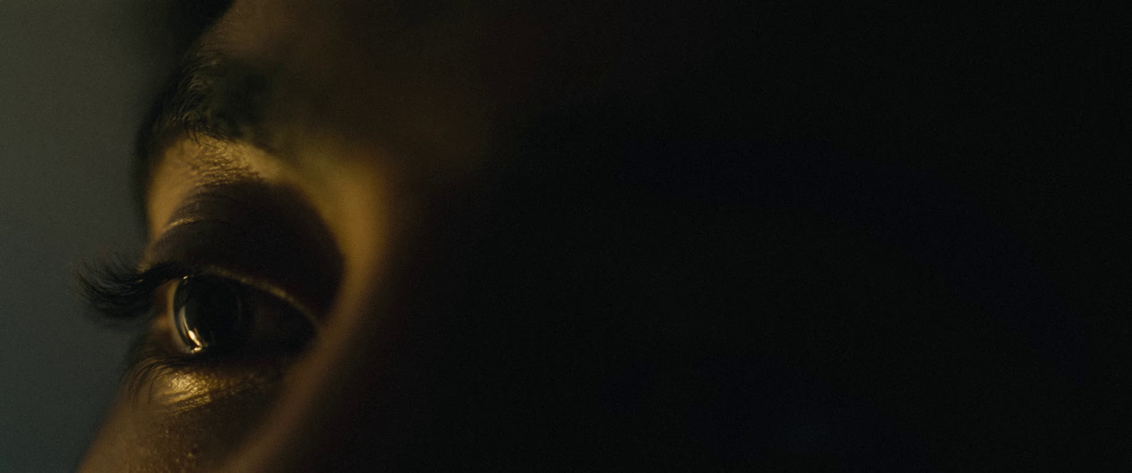 Plans We Made (2022) —  shot,  lighting