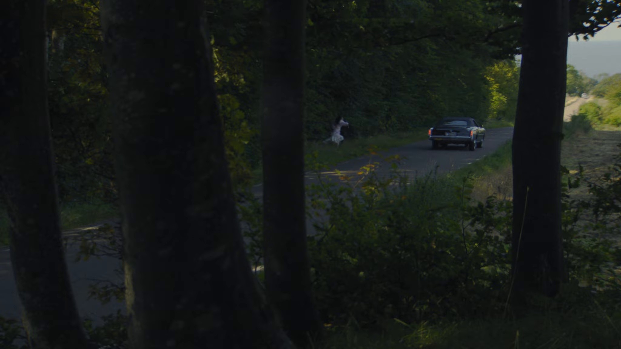 Break Me Down (2024) —  shot,  lighting