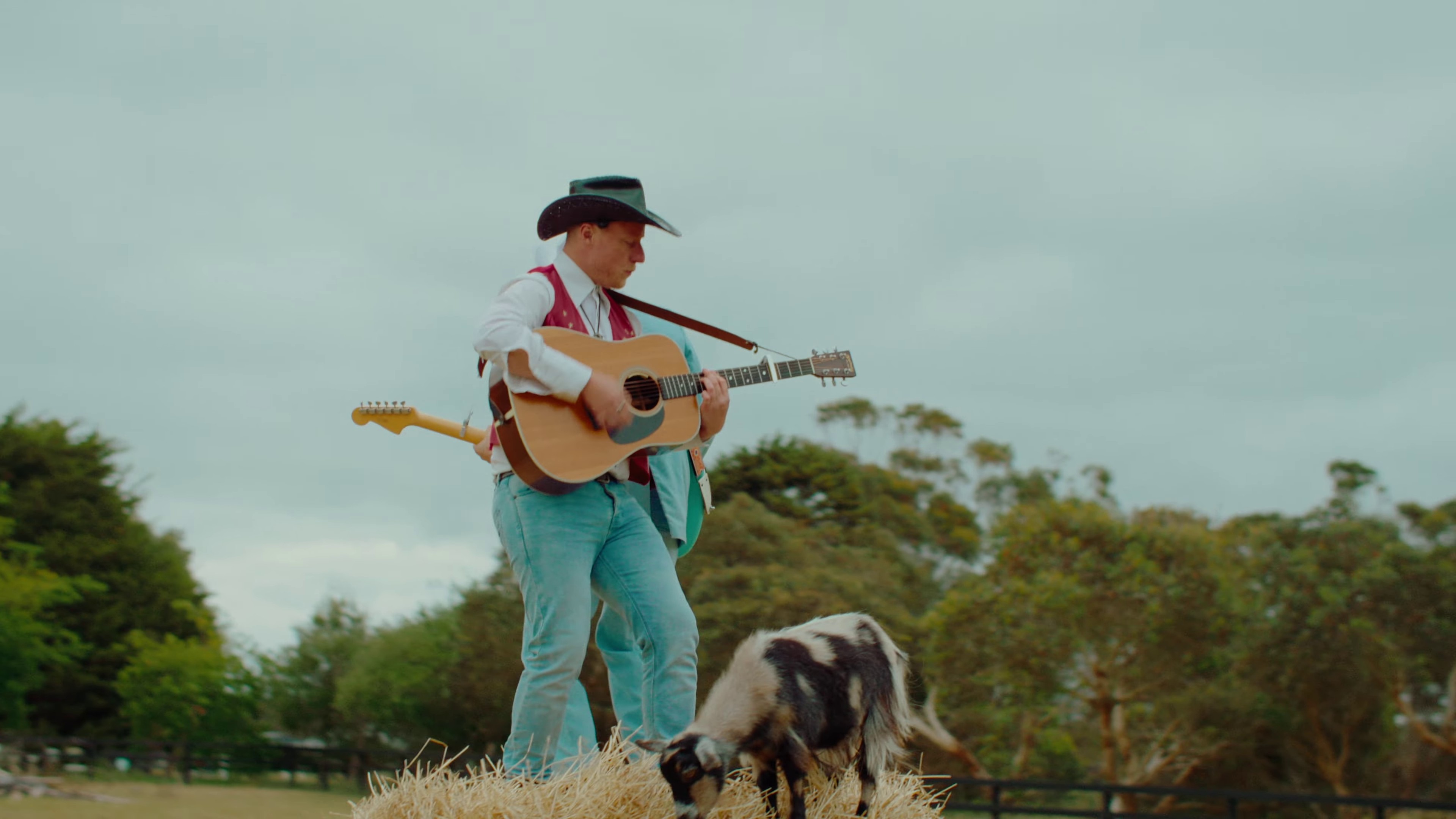 Milk & Honey (2023) —  shot,  lighting