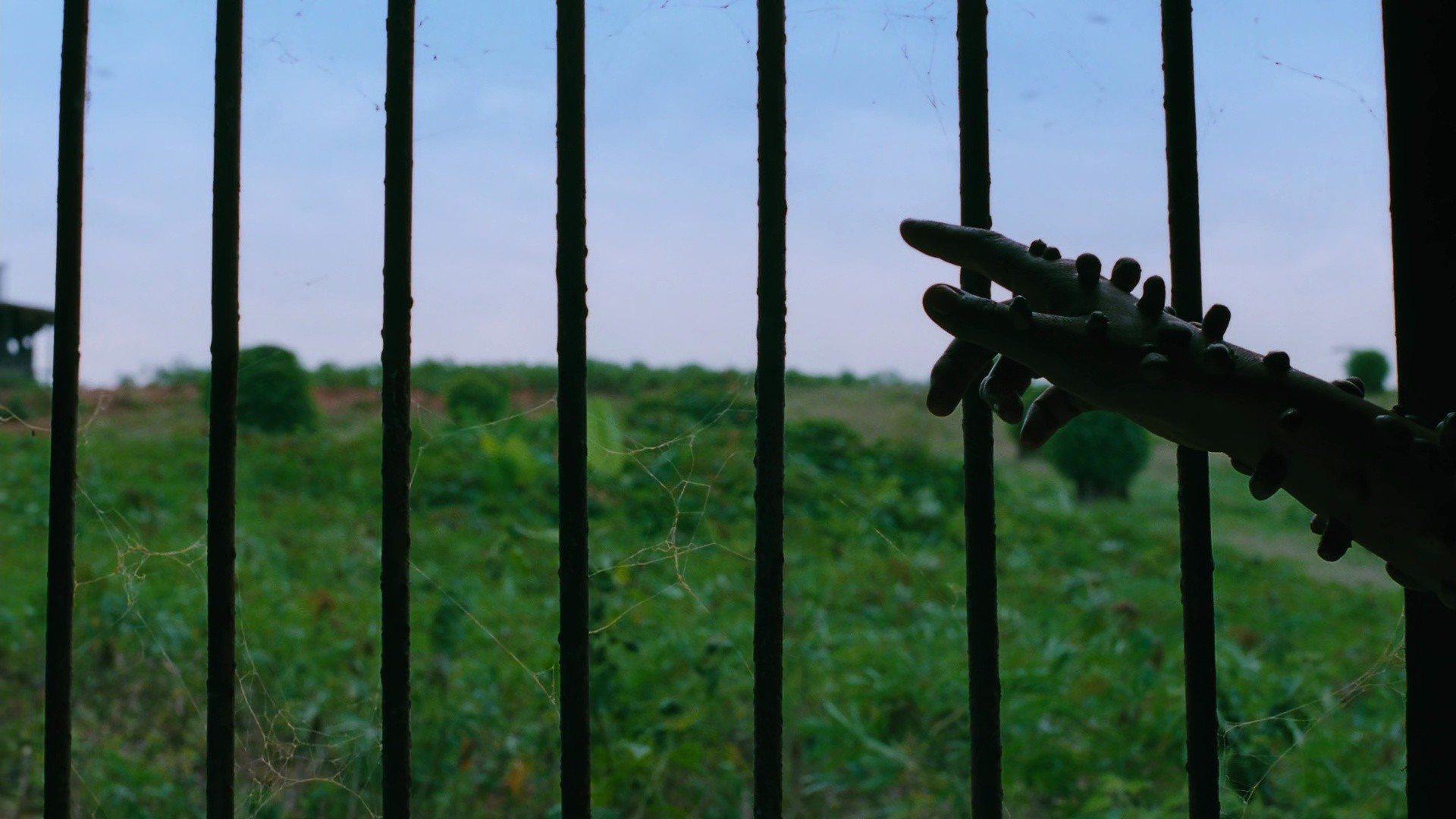 Slice (2009) —  shot,  lighting