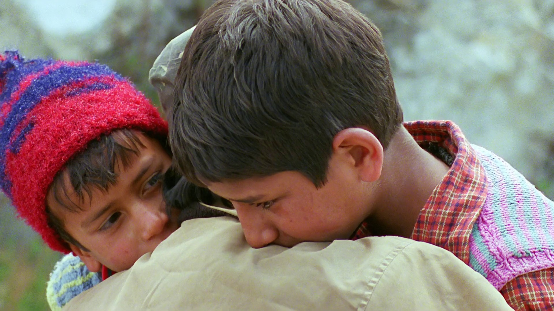 Kaphal: Wild Berries (2013) —  shot,  lighting