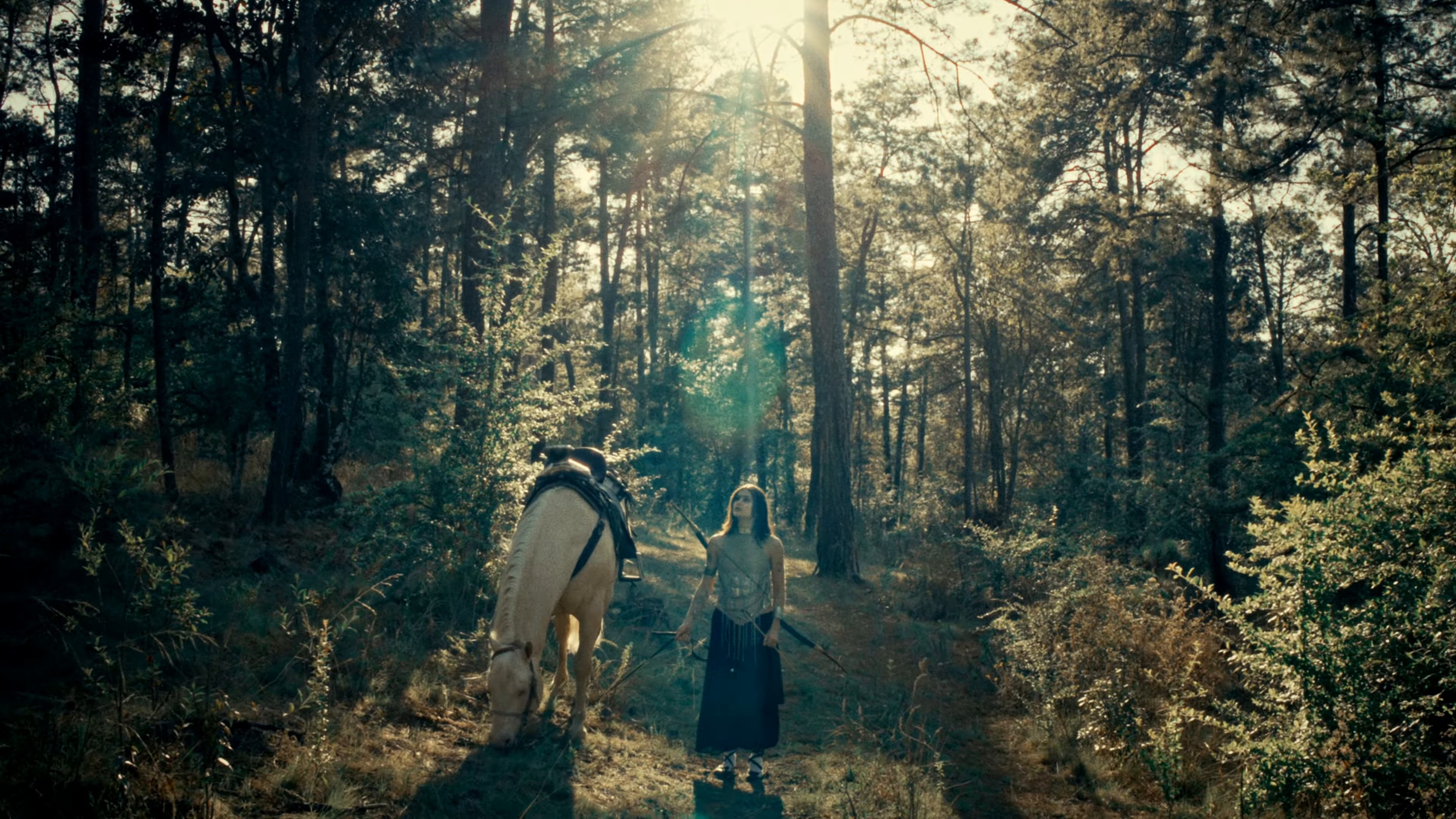 SENSOU (2024) —  shot,  lighting