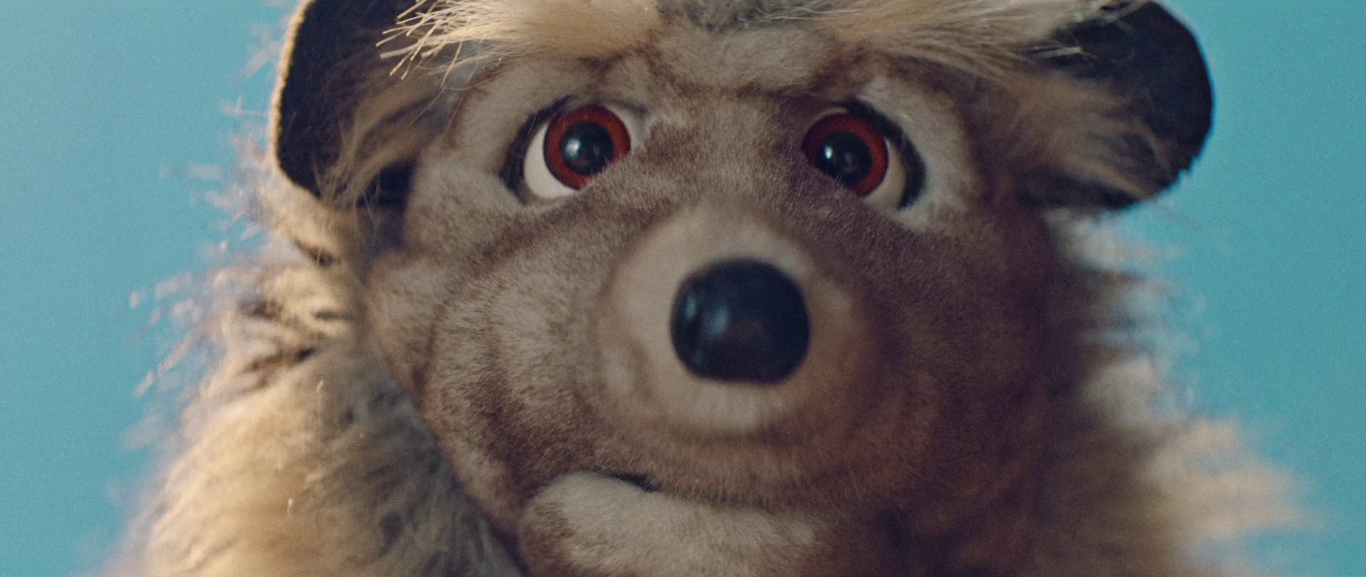 Marry me just for fun (2022) —  shot,  lighting