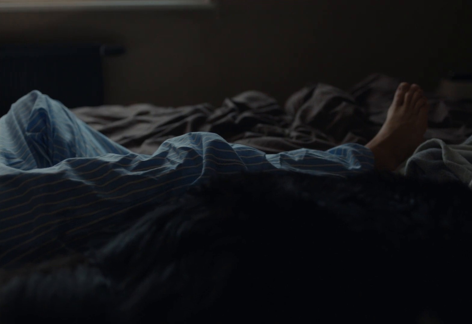 Dom jest wtedy, gdy ludzie i zwierzęta wspólnie mogą oswajać swój świat (2024) —  shot,  lighting