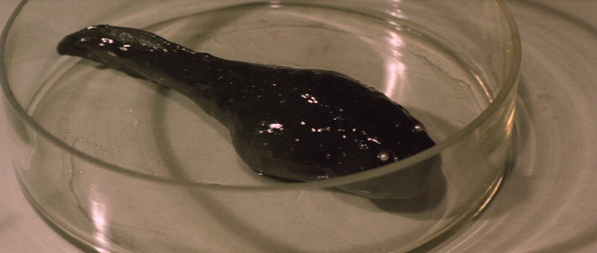 Godzilla vs. Hedorah (1971) —  shot,  lighting