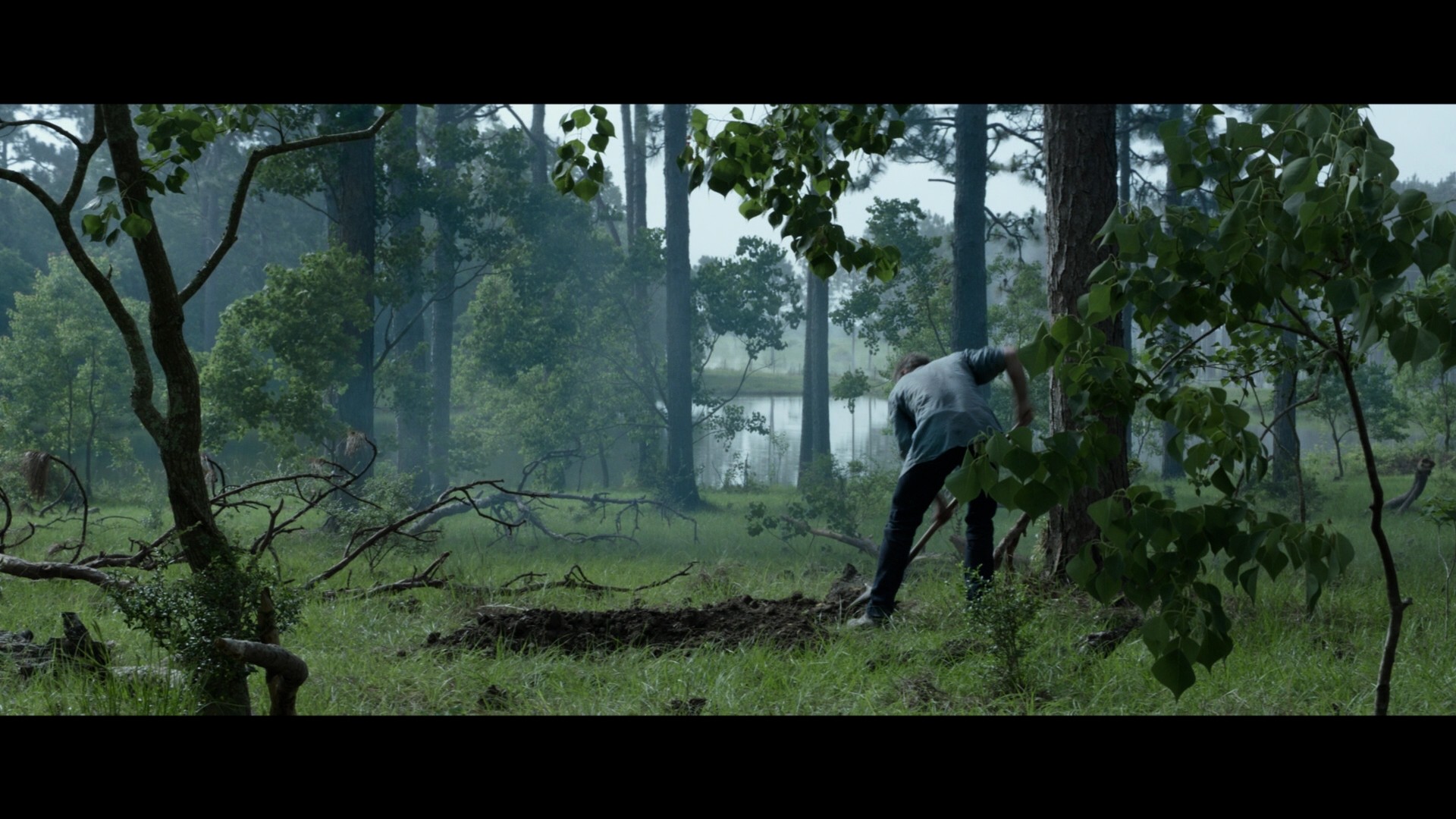 Logan (2017) —  shot,  lighting