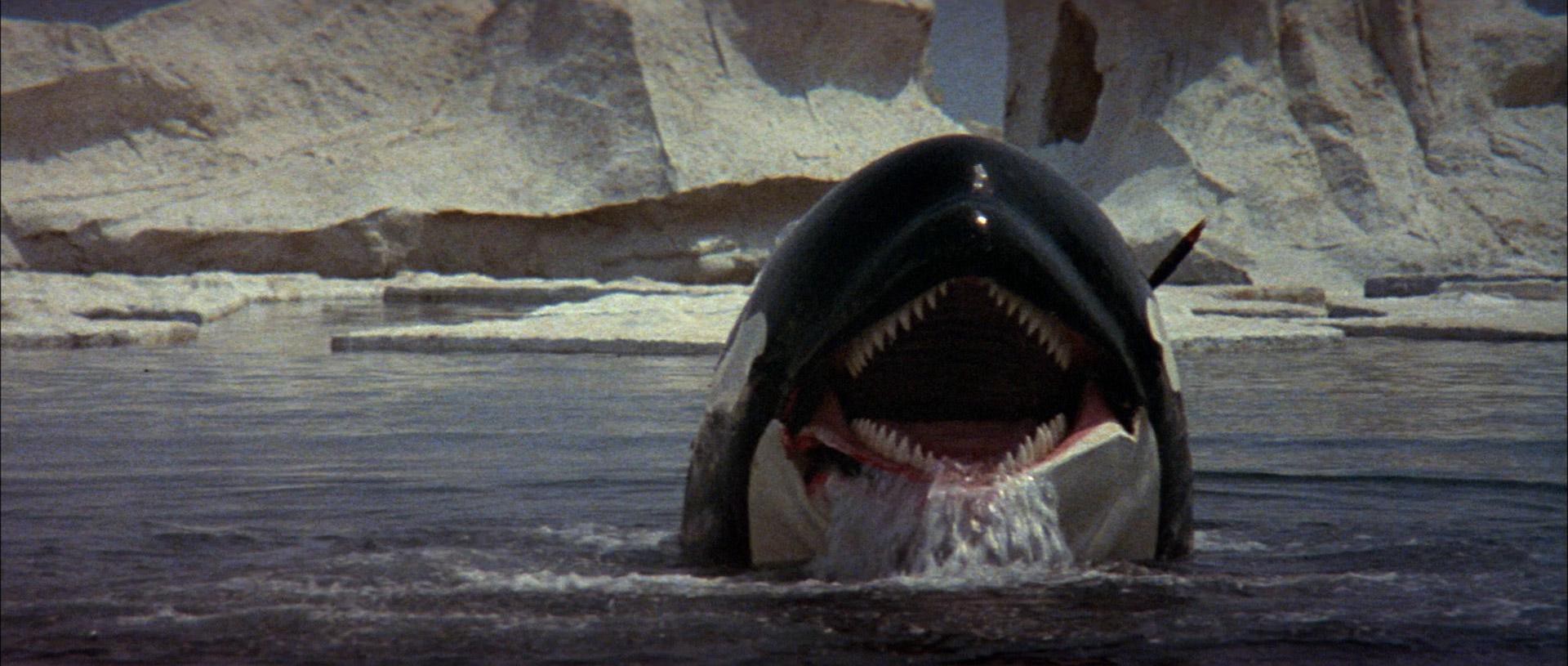 Orca (1977) —  shot,  lighting