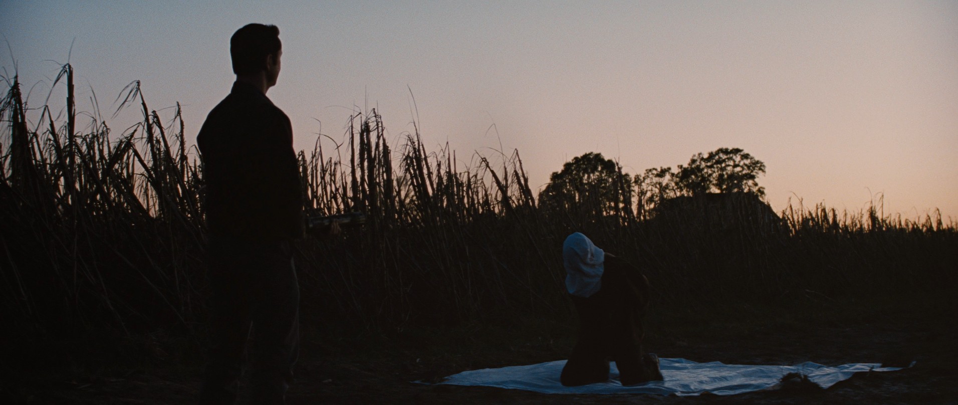 Looper (2012) —  shot,  lighting