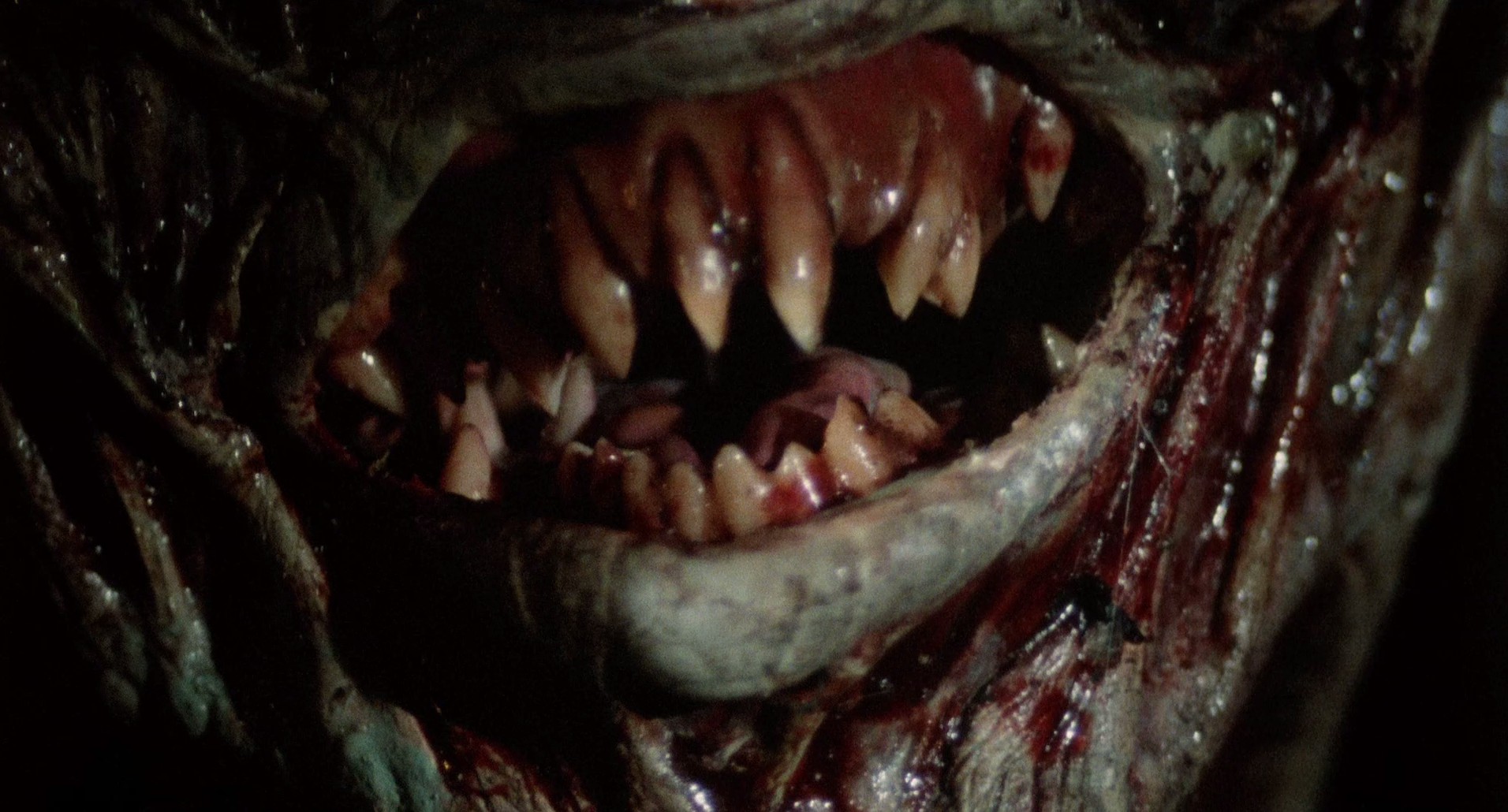 C.H.U.D. (1984) —  shot,  lighting