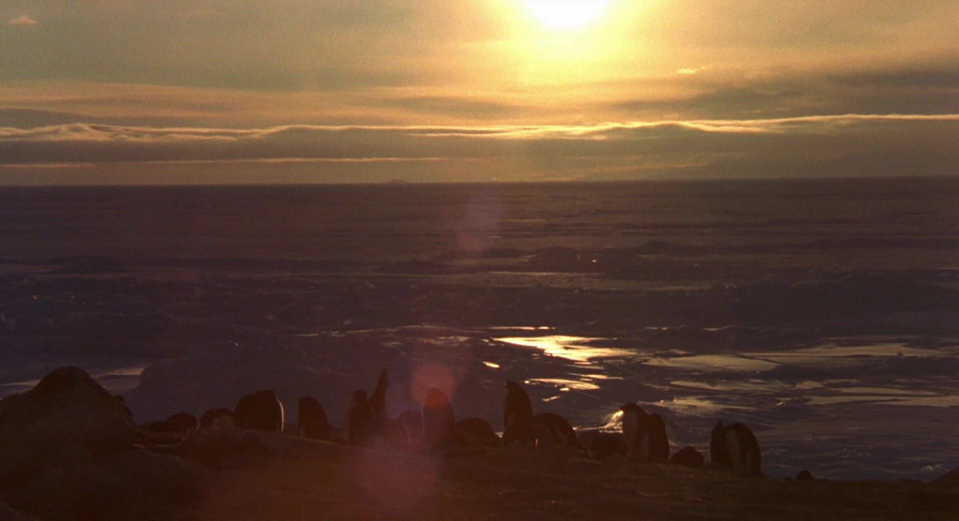 Eight Below (2006) —  shot,  lighting