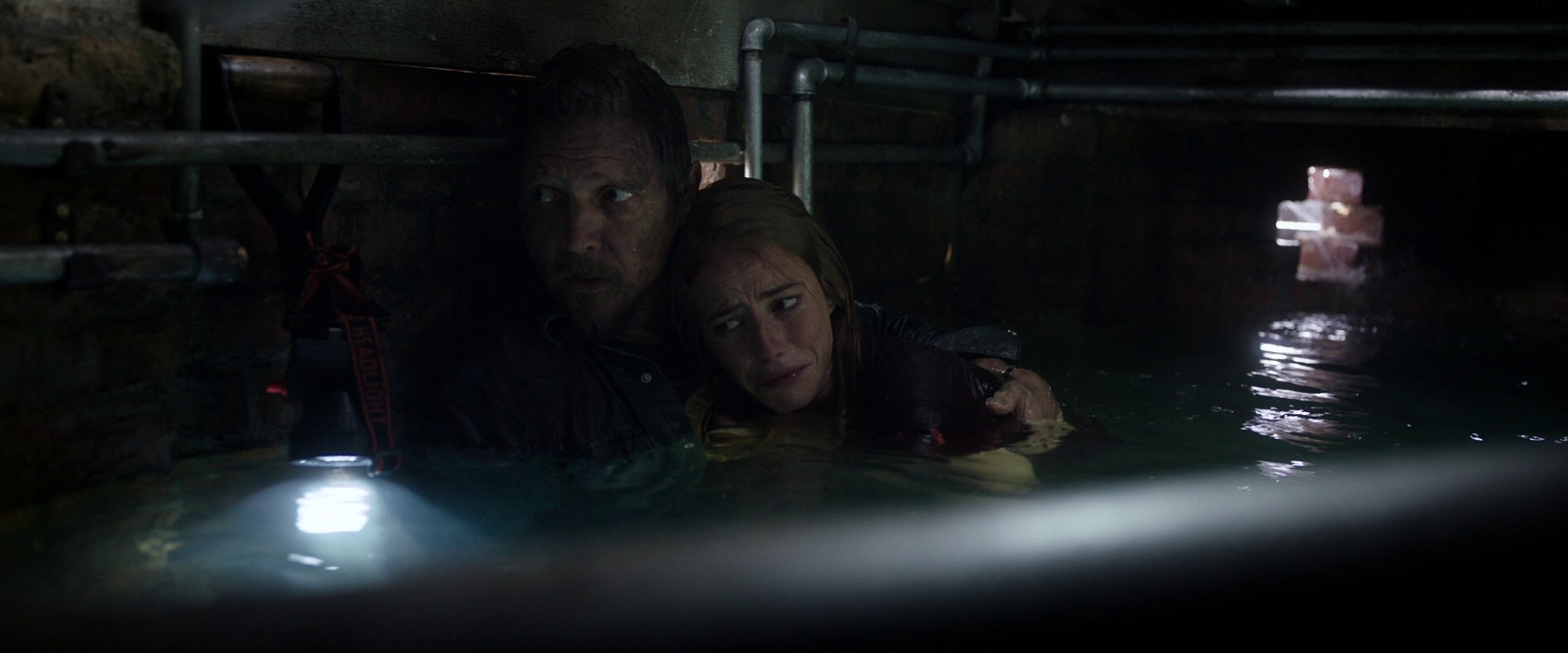 Crawl (2019) —  shot,  lighting