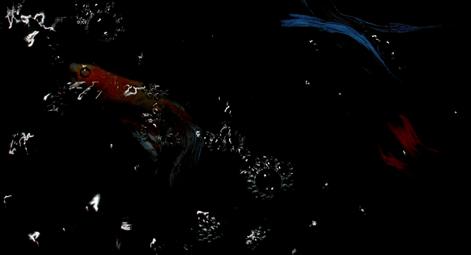 Rumble Fish (1983) —  shot,  lighting