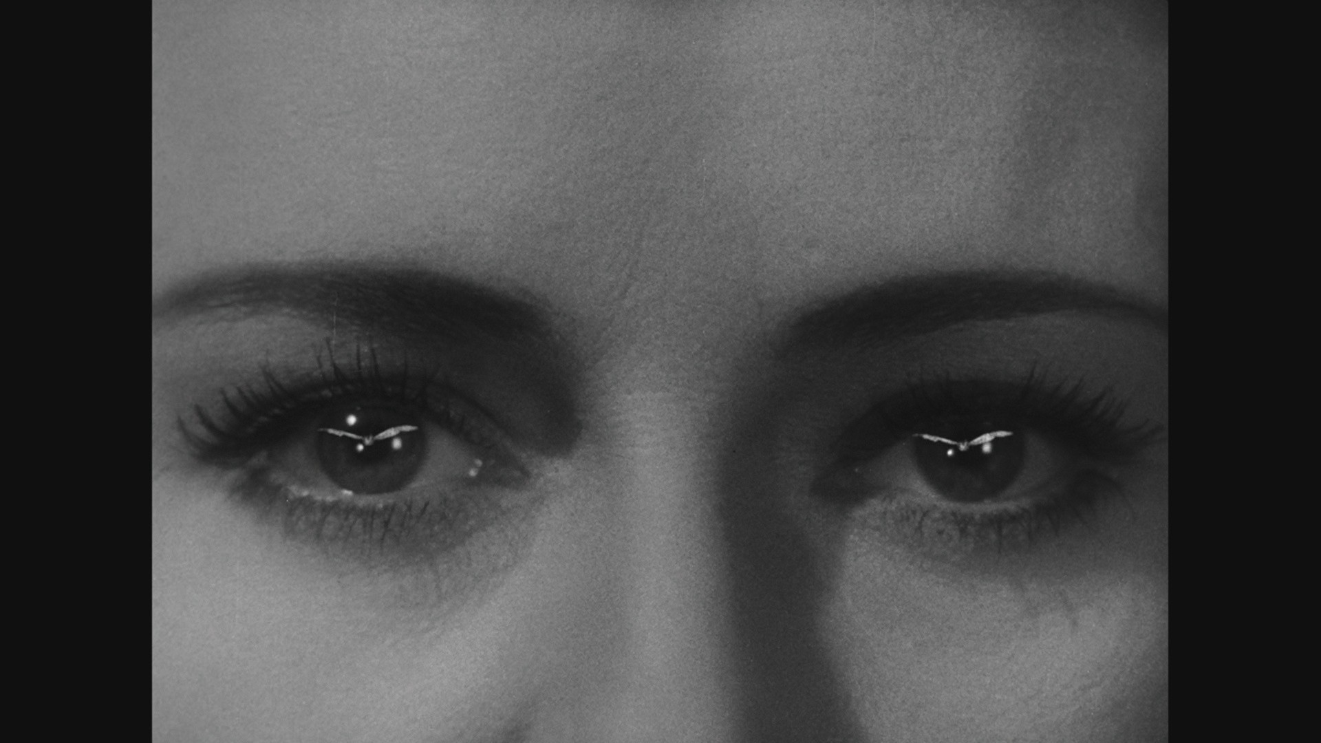 Abbott and Costello Meet Frankenstein (1948) —  shot,  lighting