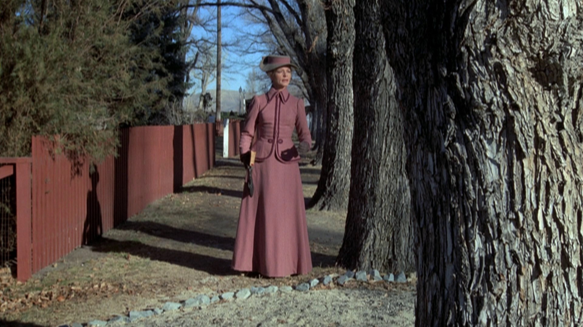 The Shootist (1976) —  shot,  lighting