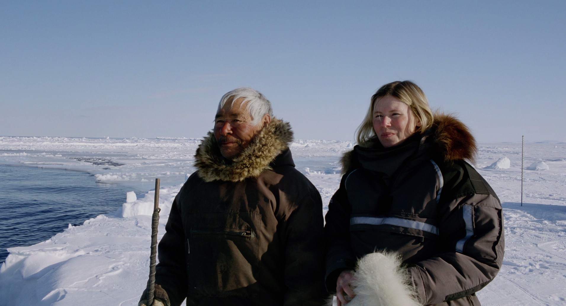 Wonders of the Arctic 3D (2014) —  shot,  lighting