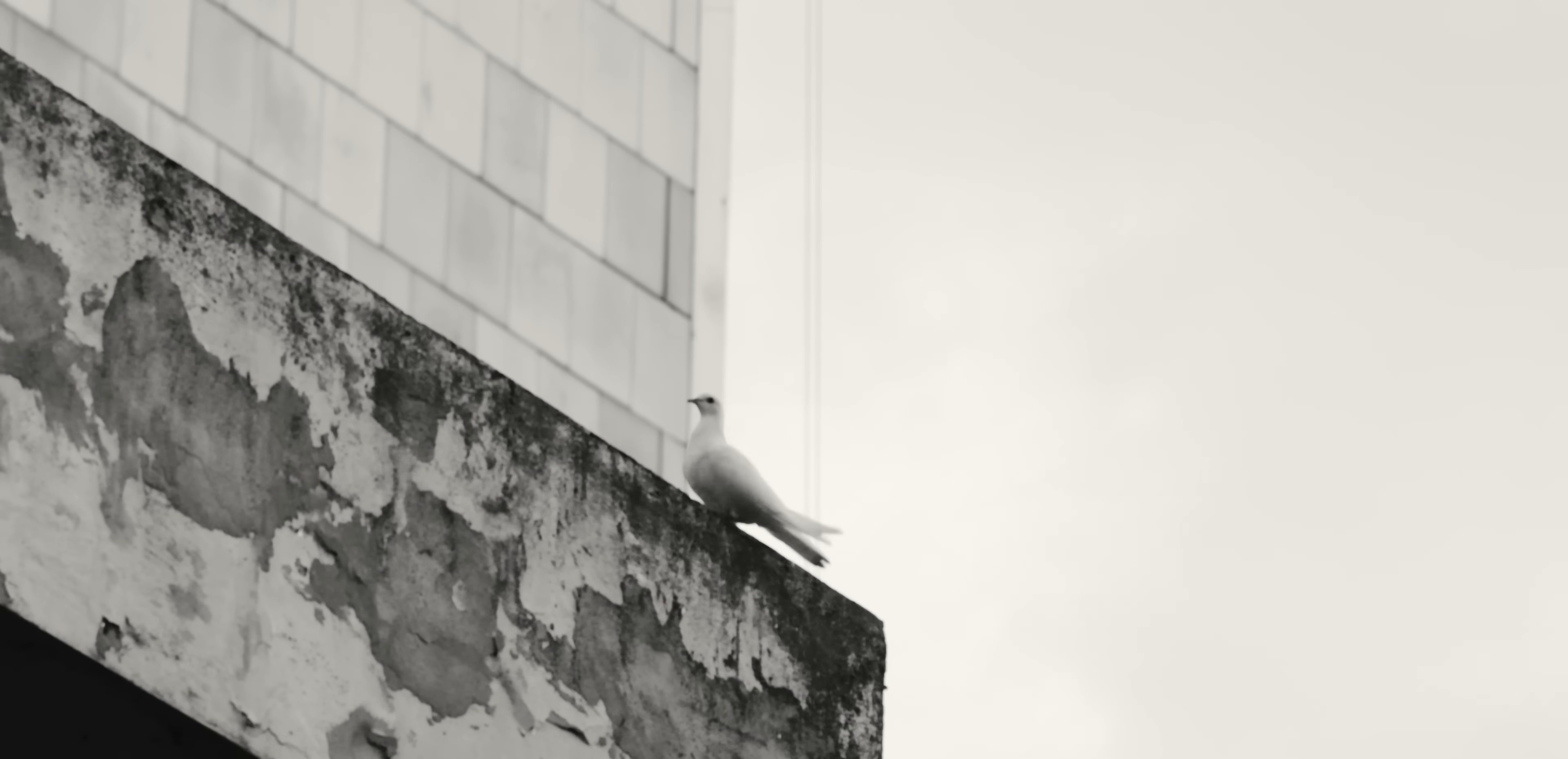 GHETTO GOSPEL (2025) —  shot,  lighting