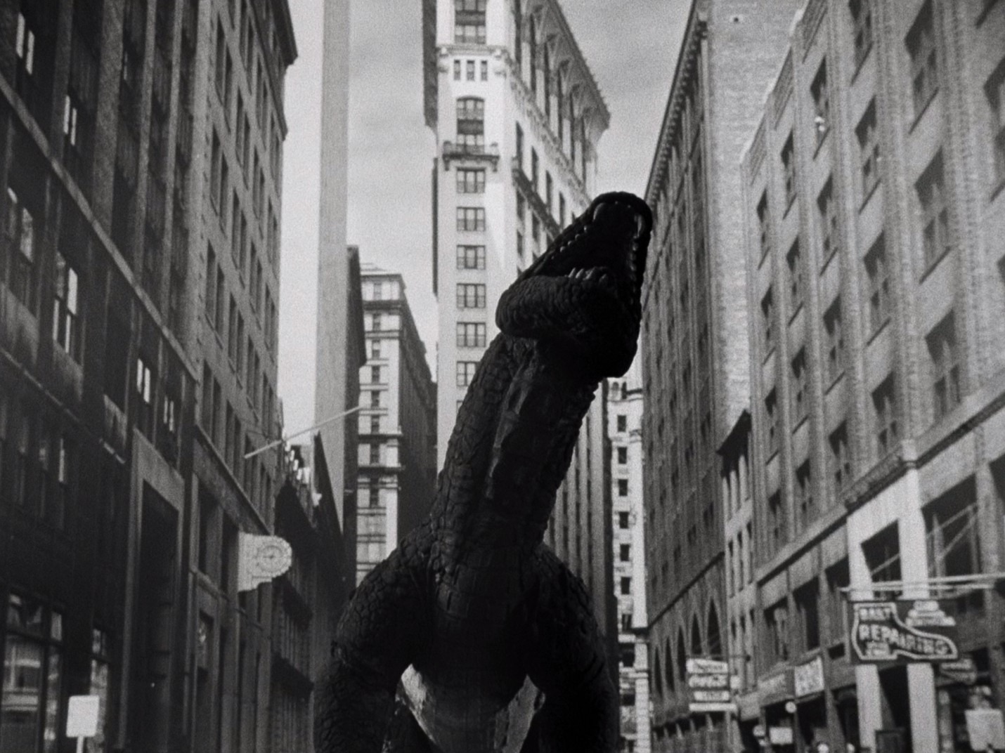 The Beast from 20,000 Fathoms (1953) —  shot,  lighting