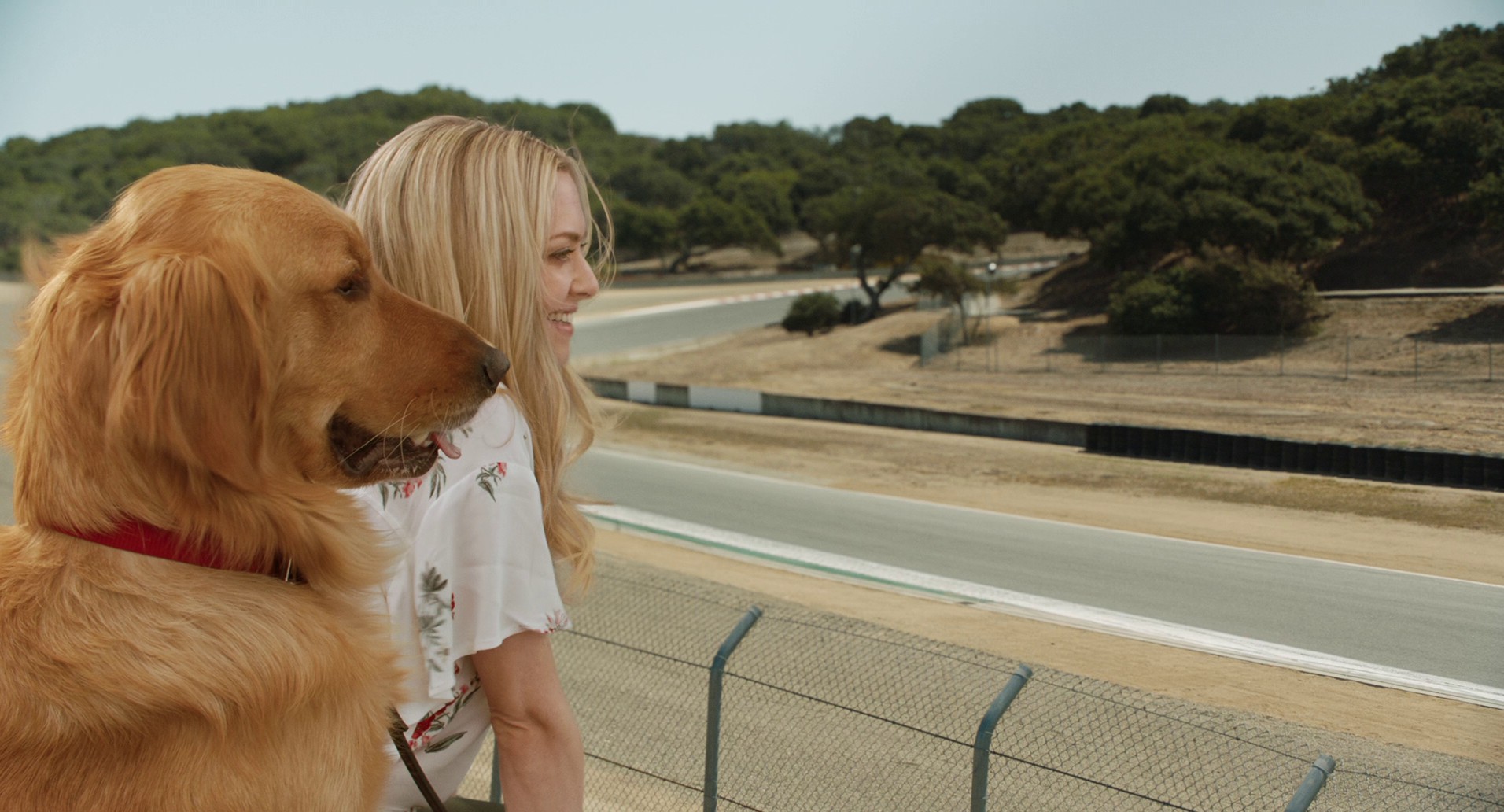 The Art of Racing in the Rain (2019) —  shot,  lighting