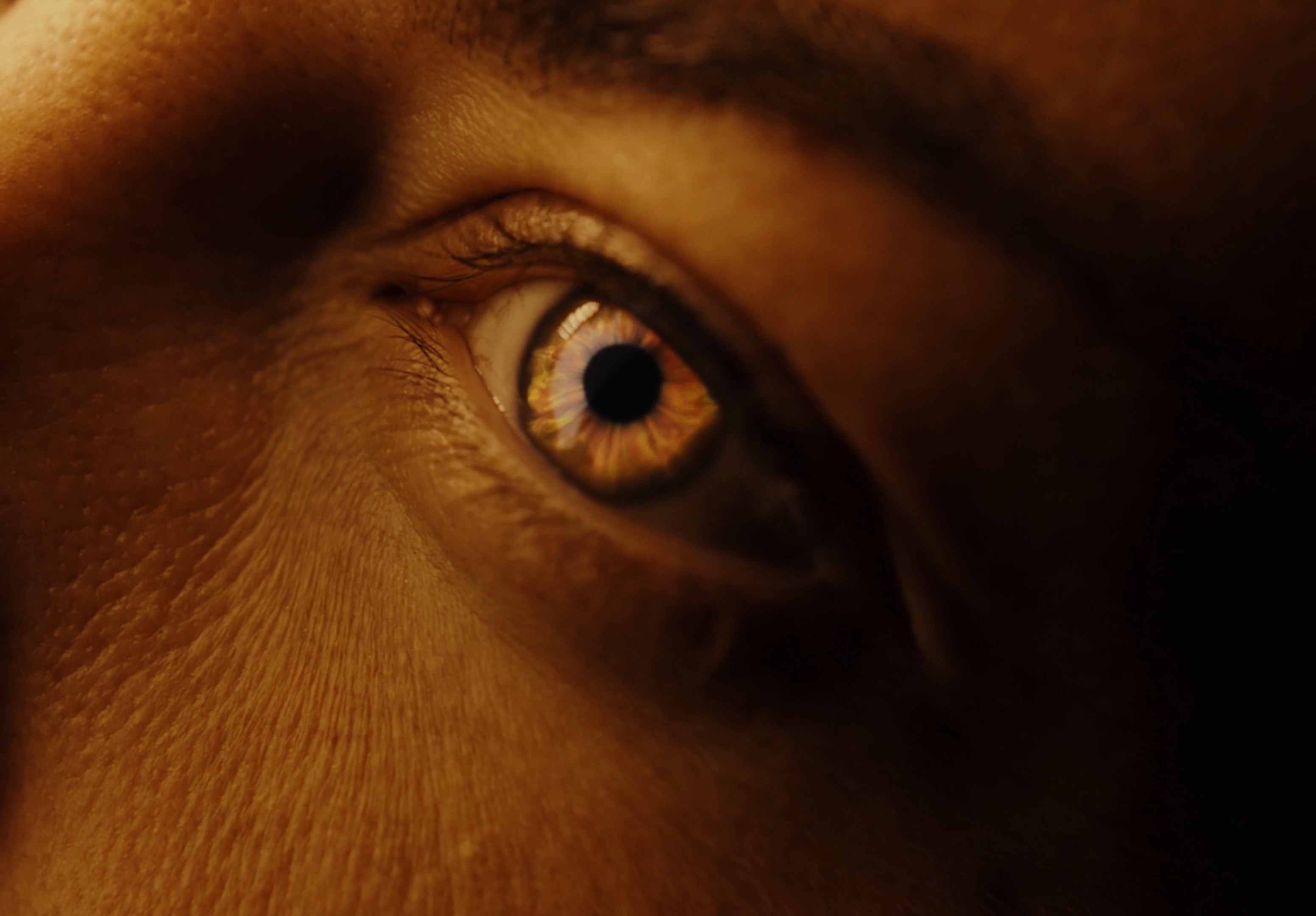 Dream Dubai (2024) —  shot,  lighting