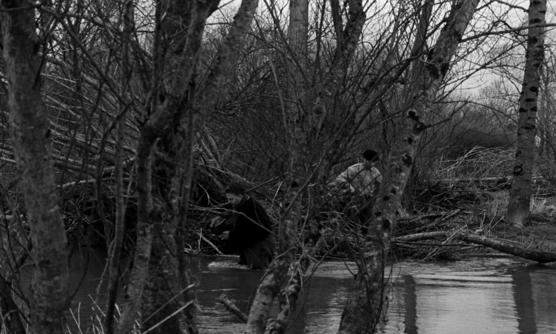 La ligne de démarcation (1966) —  shot,  lighting