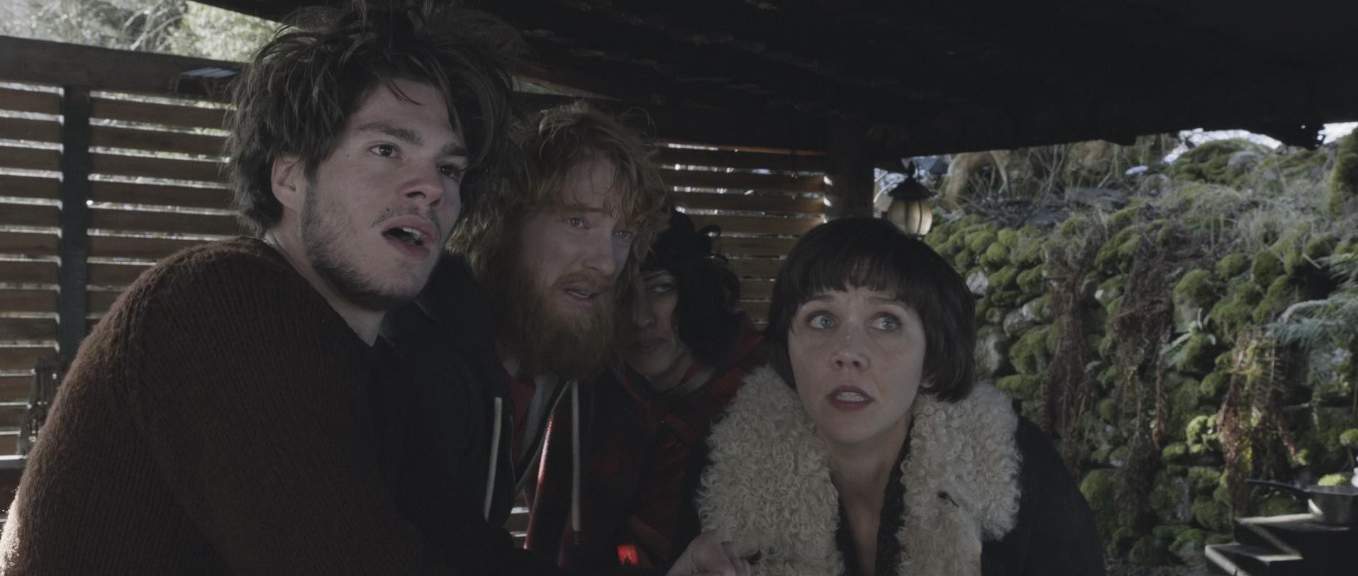 Frank (2014) —  shot,  lighting