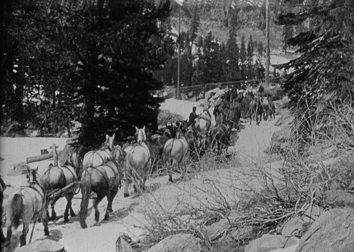 The Iron Horse (1924) —  shot,  lighting