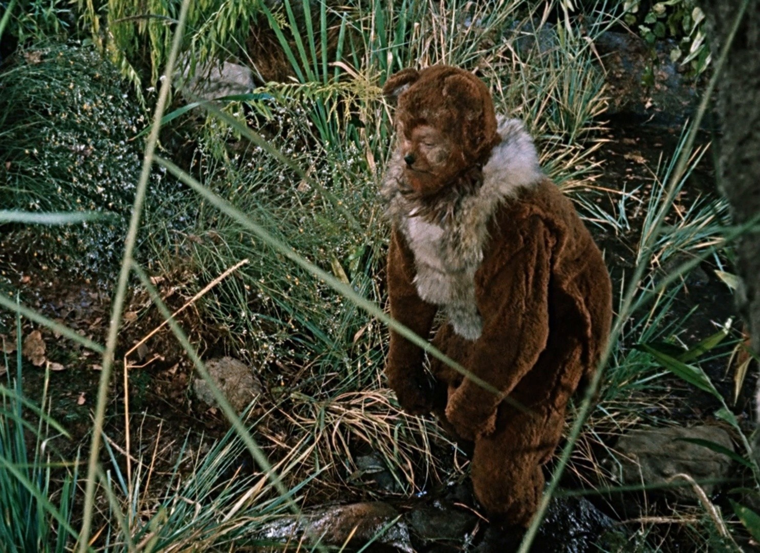 Little Red Riding-Hood (1962) —  shot,  lighting