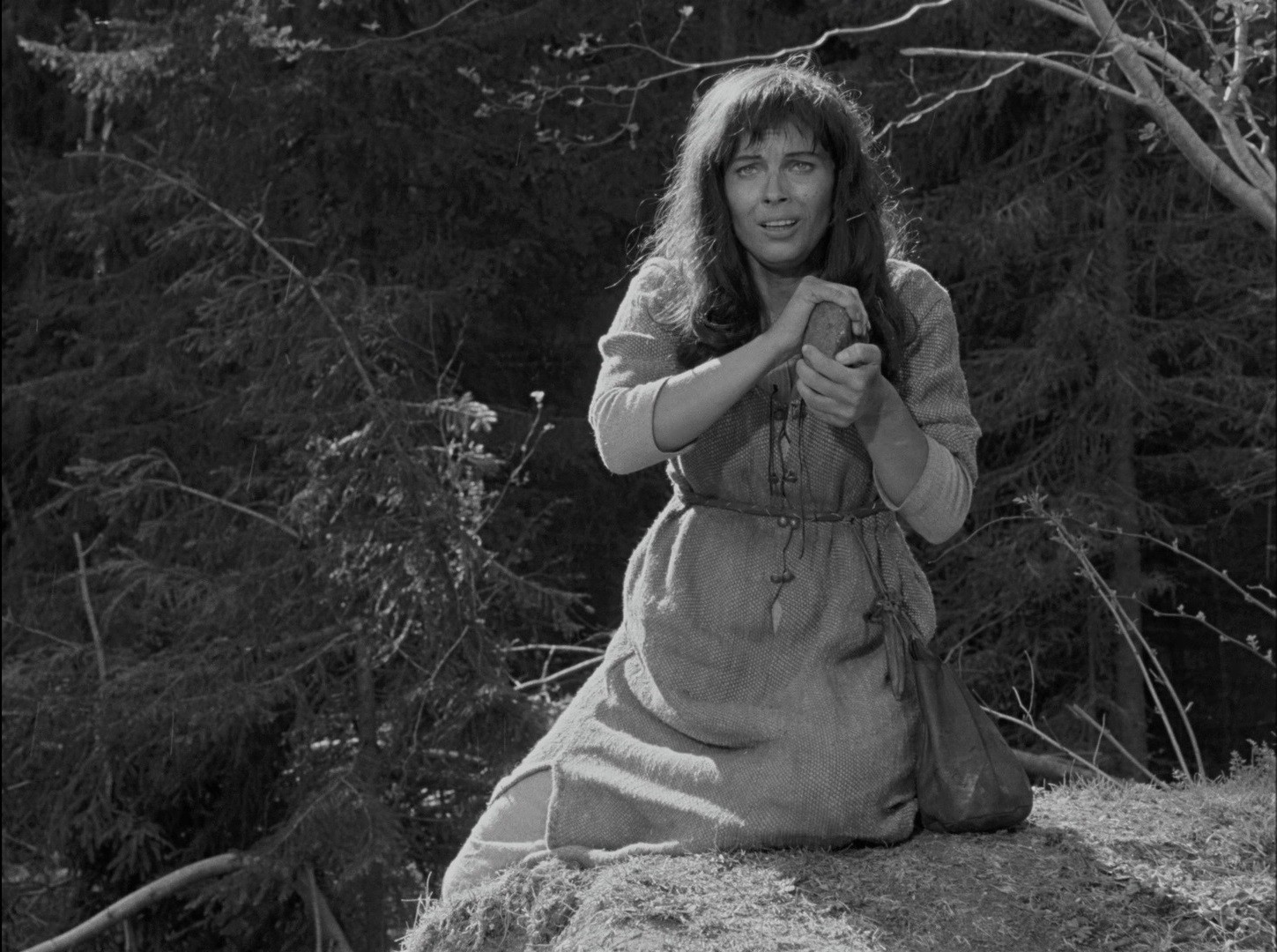 The Virgin Spring (1960) —  shot,  lighting