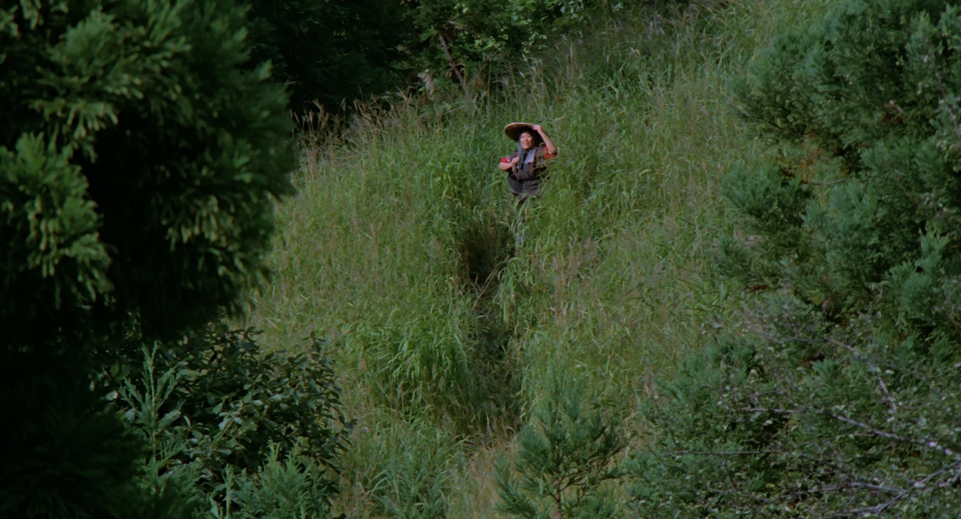 The Ballad of Narayama (1983) —  shot,  lighting