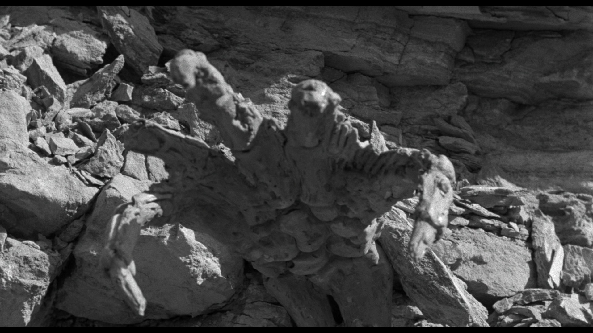 Creature from the Black Lagoon (1954) —  shot,  lighting