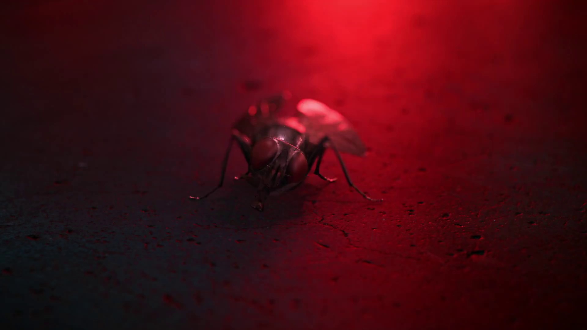 HIGHEST IN THE ROOM (2019) —  shot,  lighting