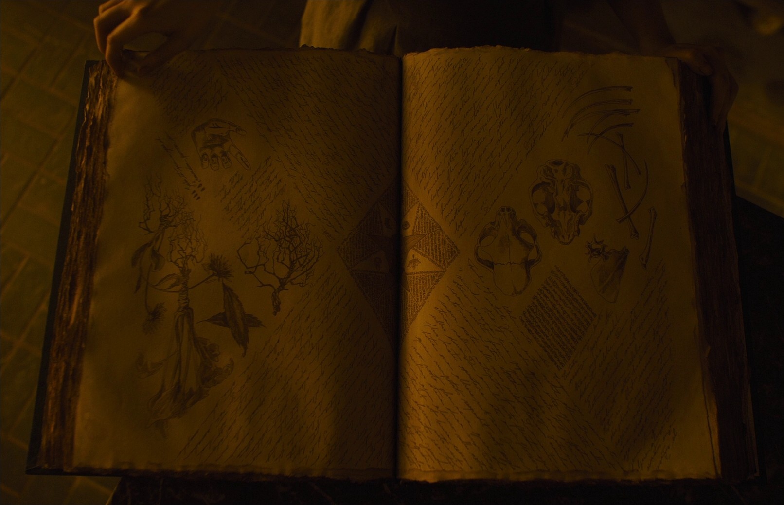 Gretel & Hansel (2020) —  shot,  lighting