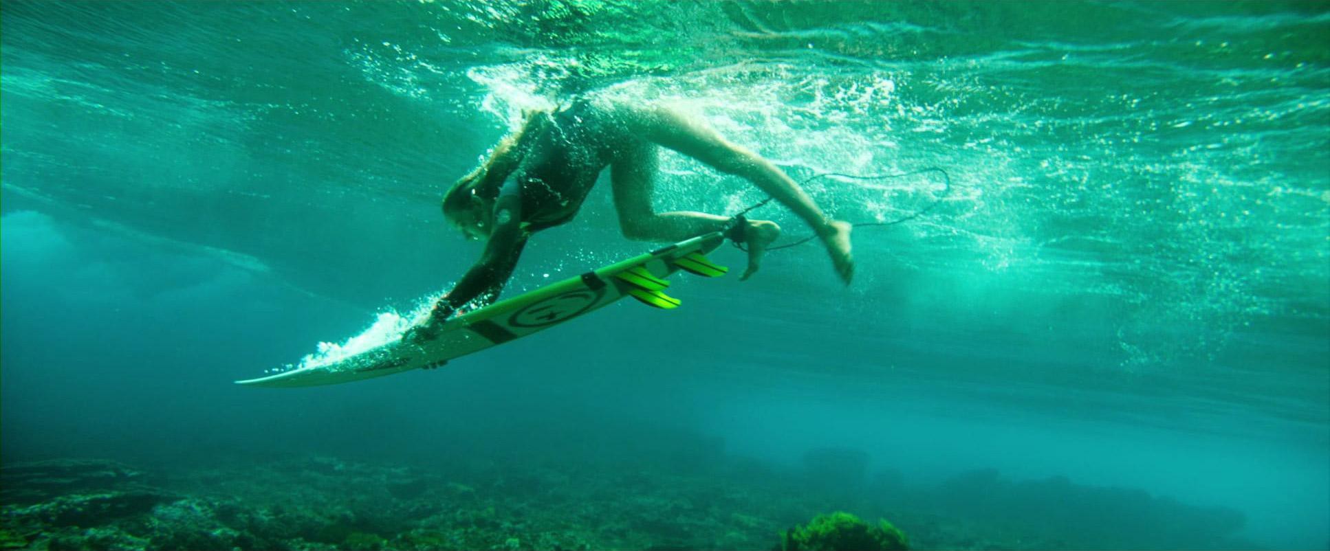 The Shallows (2016) —  shot,  lighting