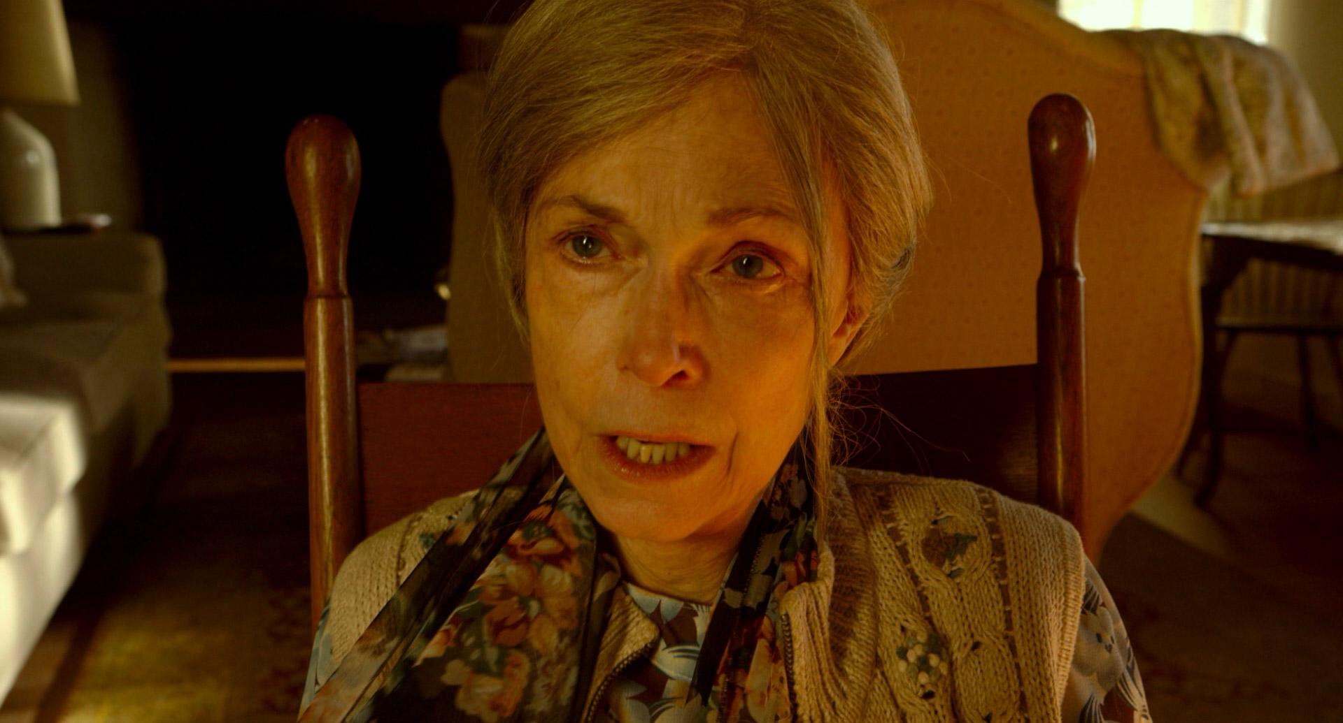 The Visit (2015) —  shot,  lighting