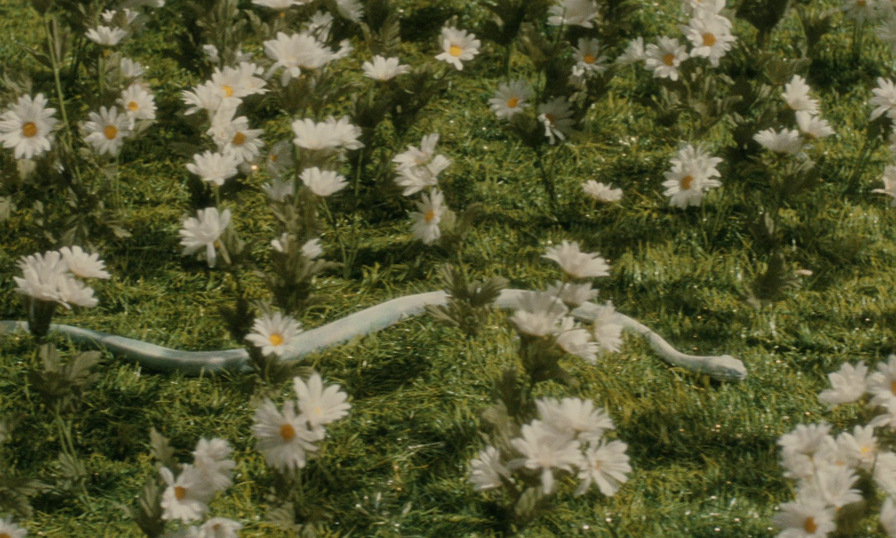 Orfeo (1985) —  shot,  lighting