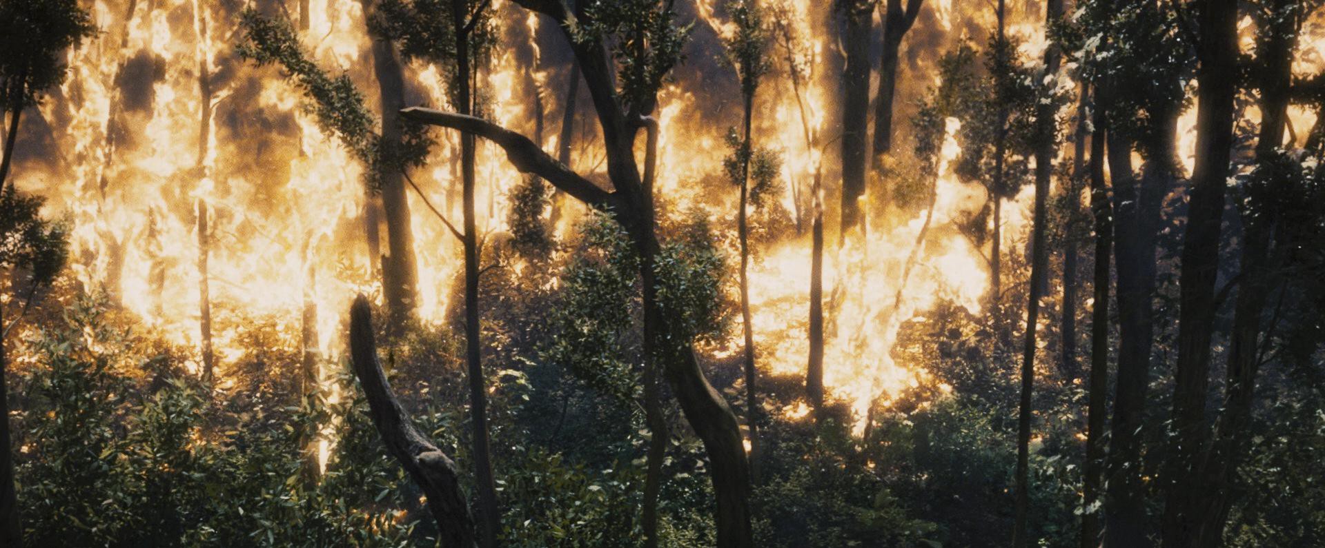 The Hunger Games (2012) —  shot,  lighting