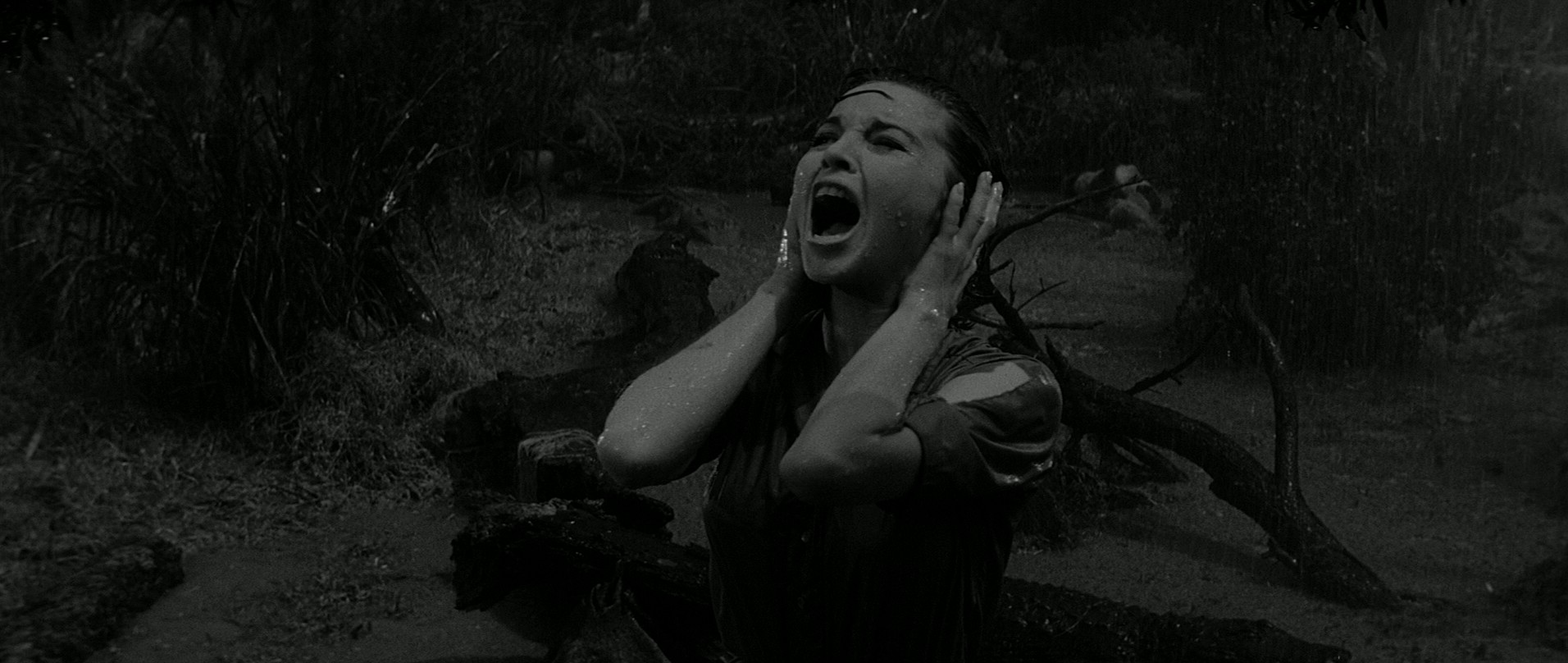 The Alligator People (1959) —  shot,  lighting