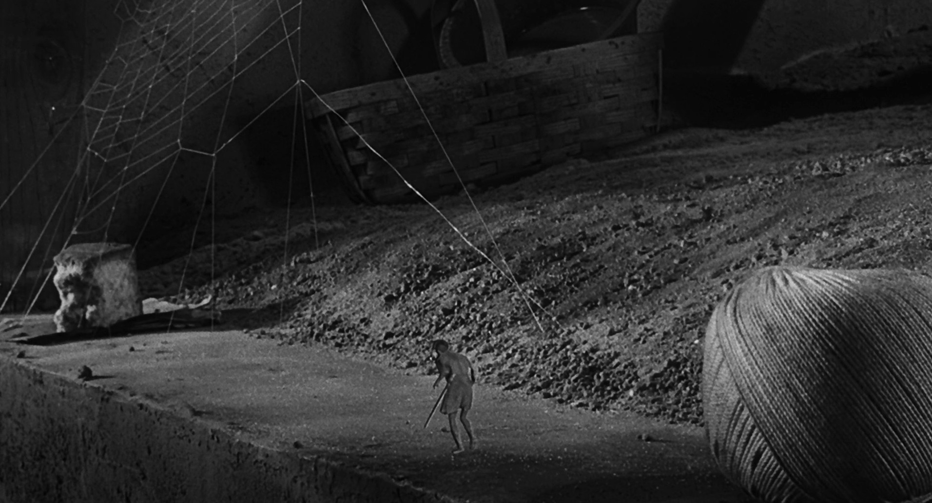 The Incredible Shrinking Man (1957) —  shot,  lighting