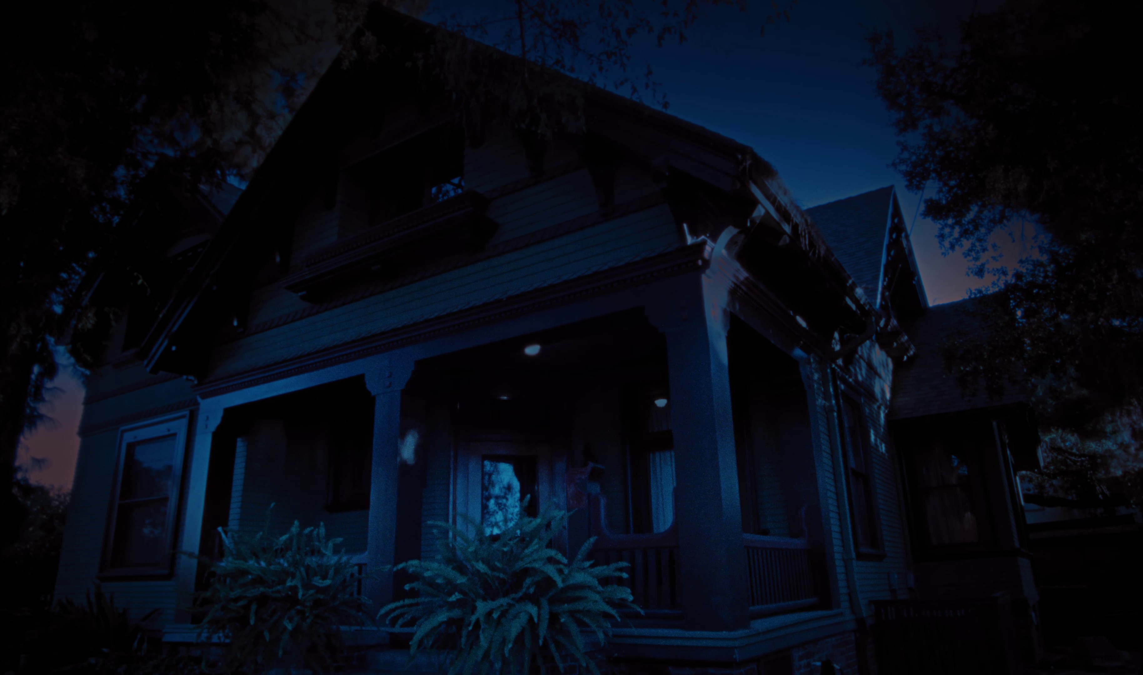 nightcrawler (2023) —  shot,  lighting