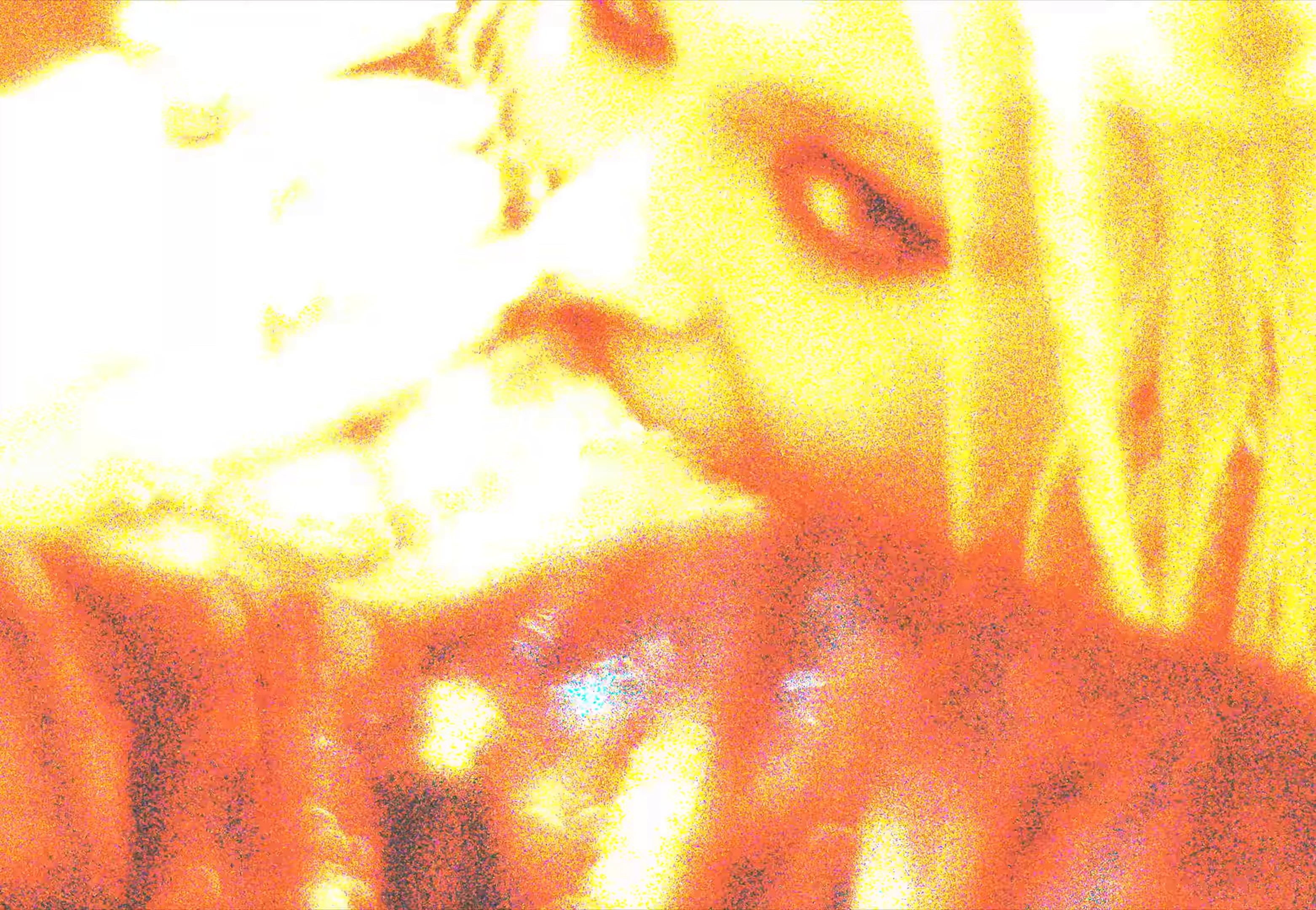 Tears on the dancefloor (2024) —  shot,  lighting