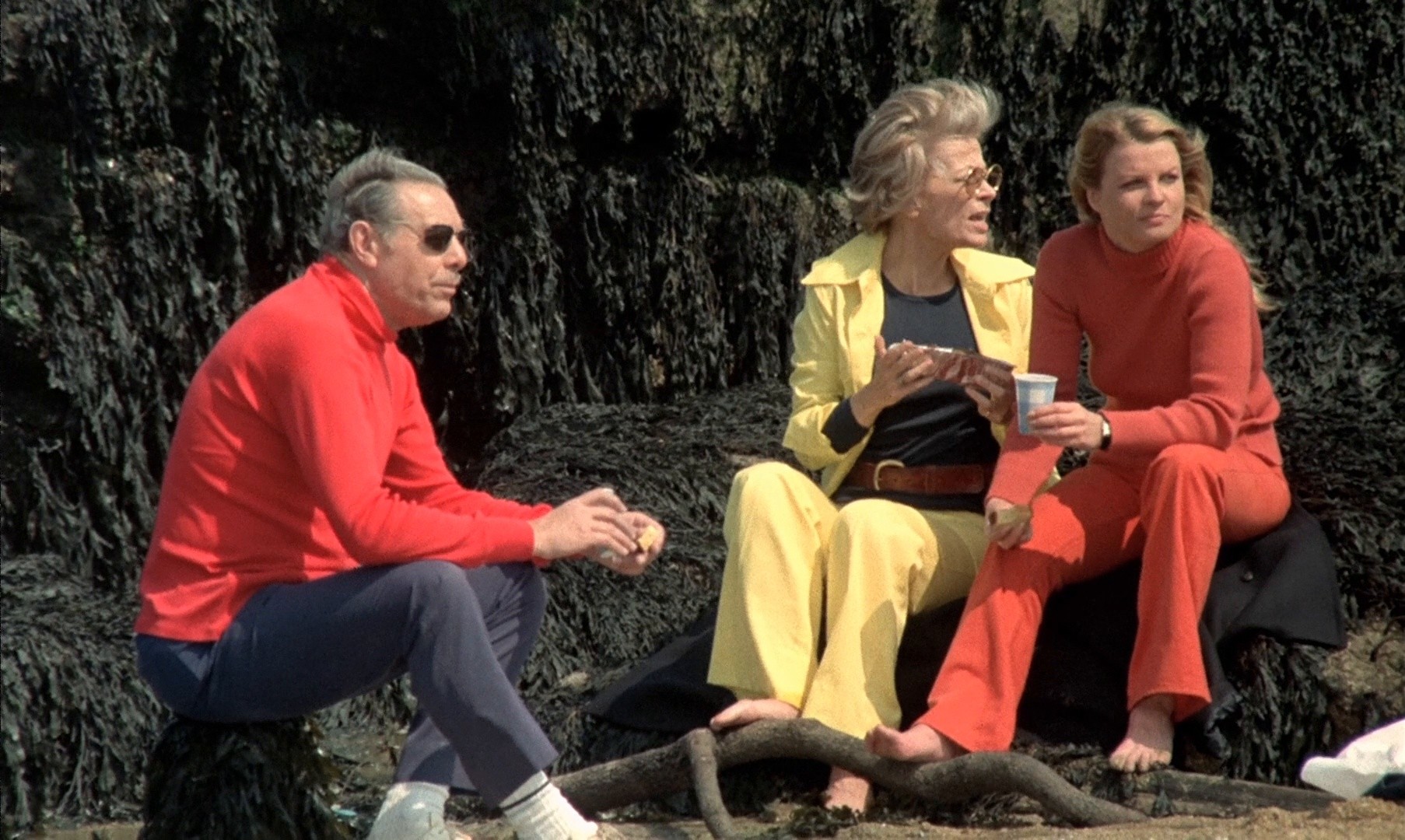 Cesar & Rosalie (1972) —  shot,  lighting