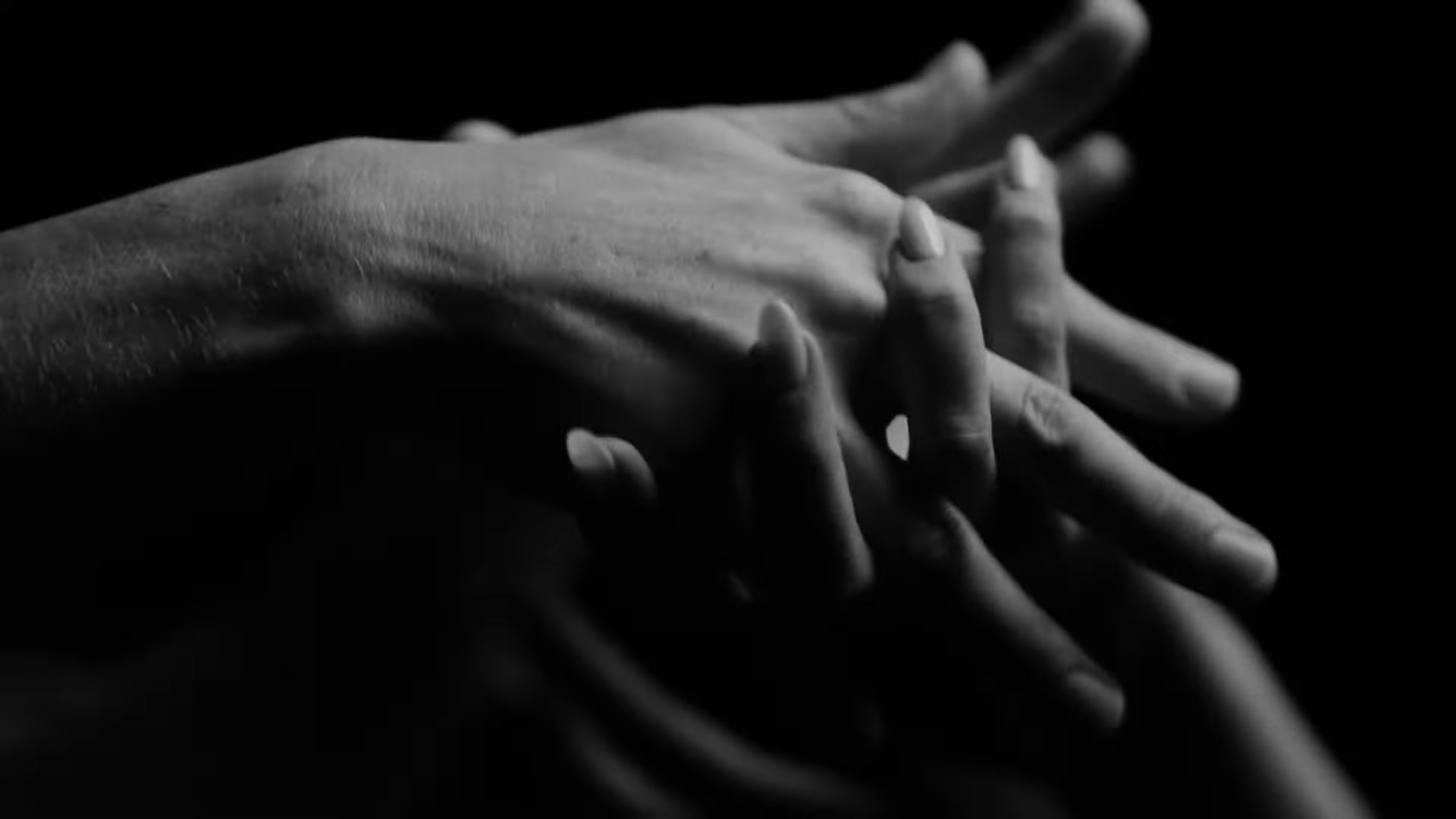 Koalas (2024) —  shot,  lighting