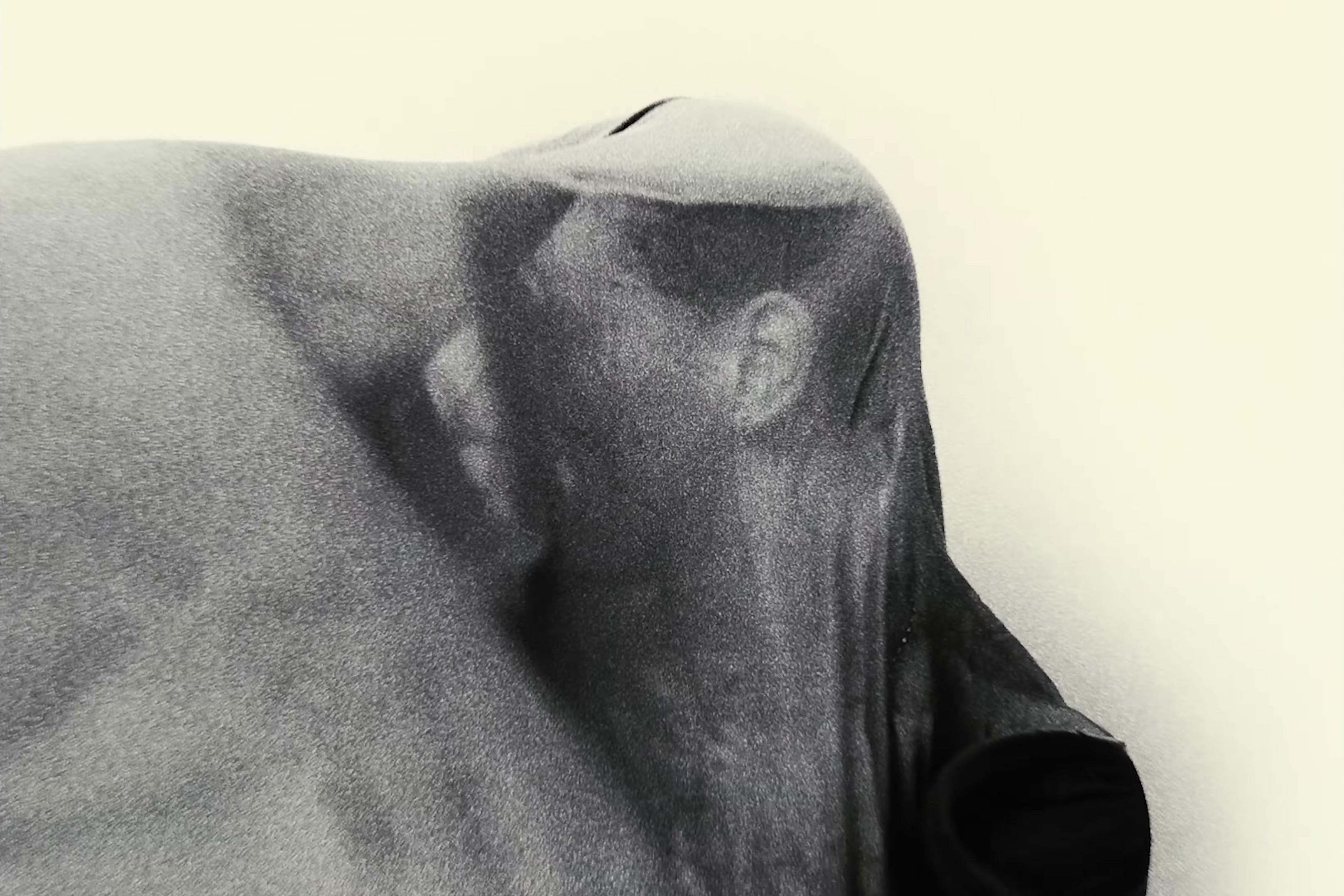 Hounds (2022) —  shot,  lighting