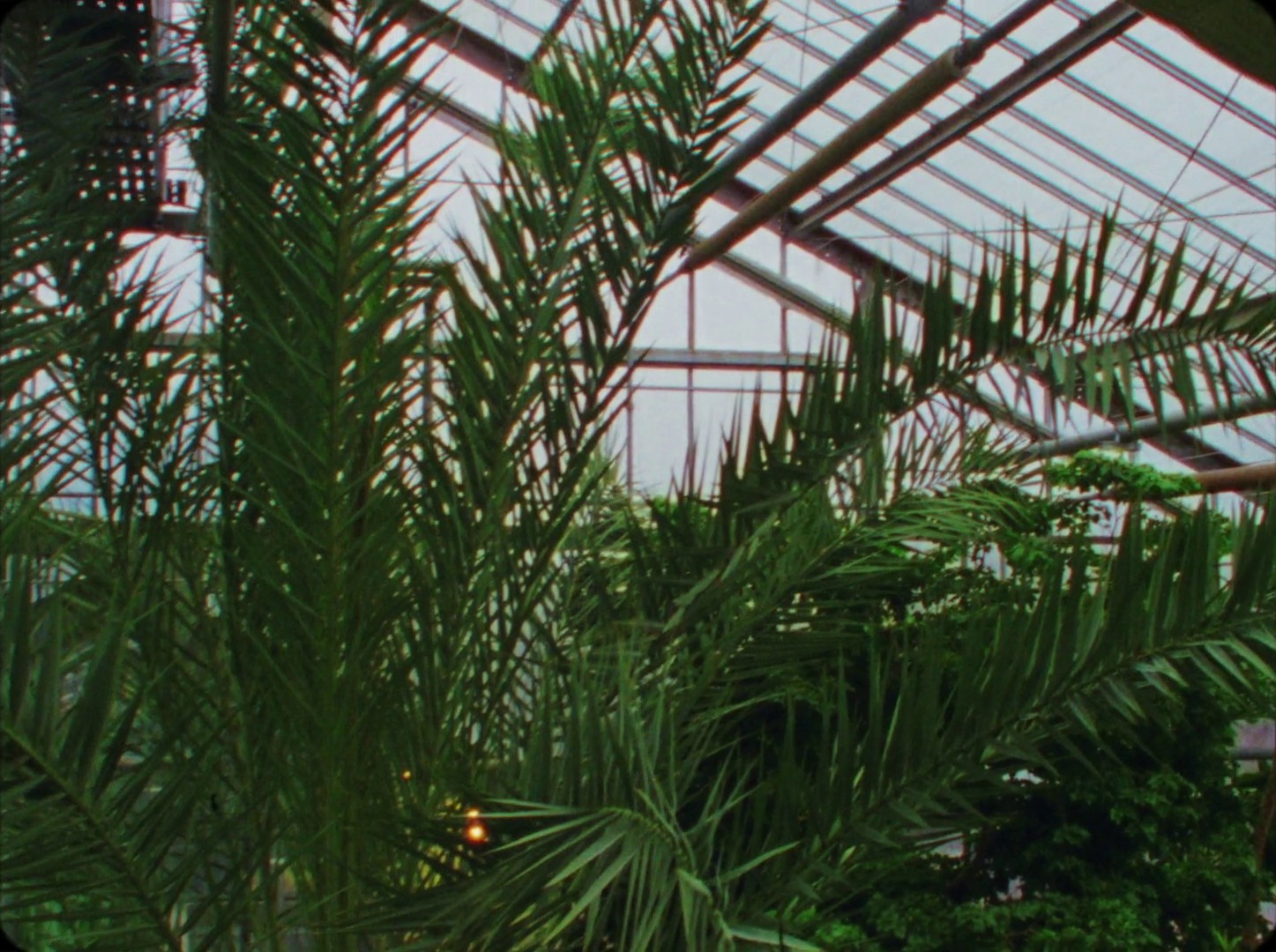 New house  (2020) —  shot,  lighting