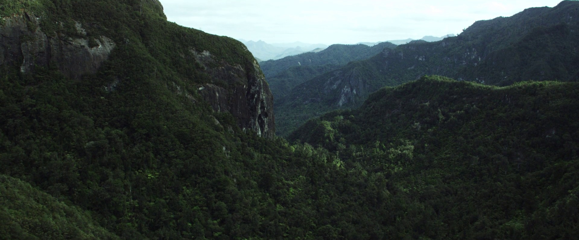 Hunt for the Wilderpeople (2016) —  shot,  lighting