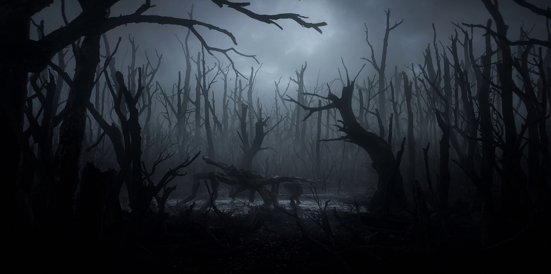 The End's Beginning (2019) —  shot,  lighting