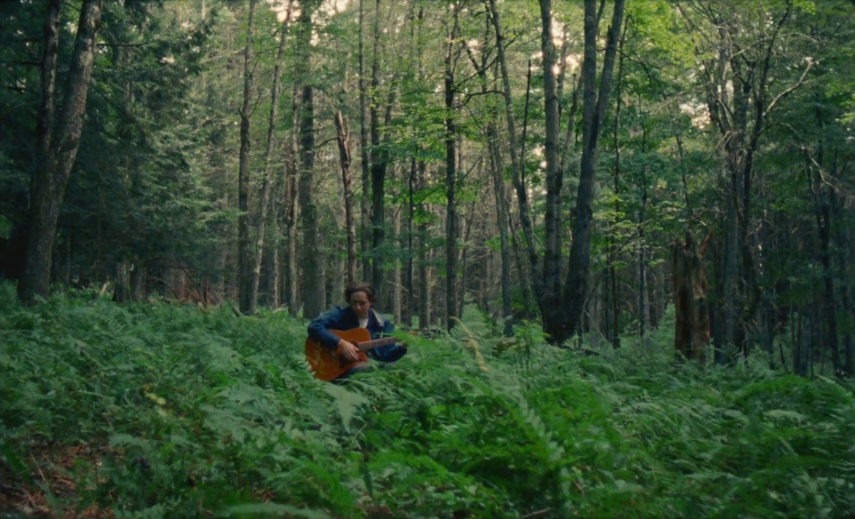 Bargain Flights (2025) —  shot,  lighting