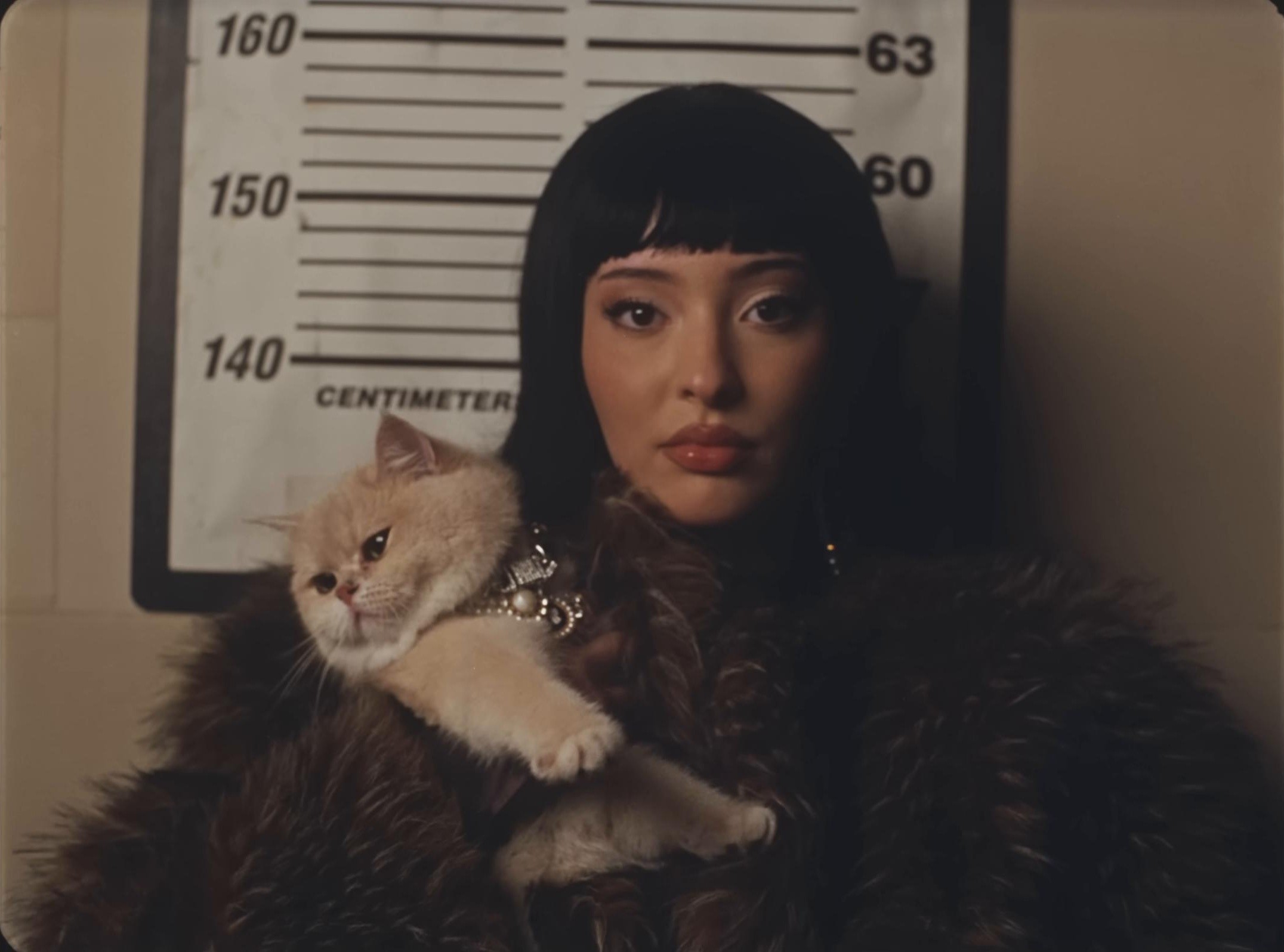 PEACE & VIOLENCE (2025) —  shot,  lighting