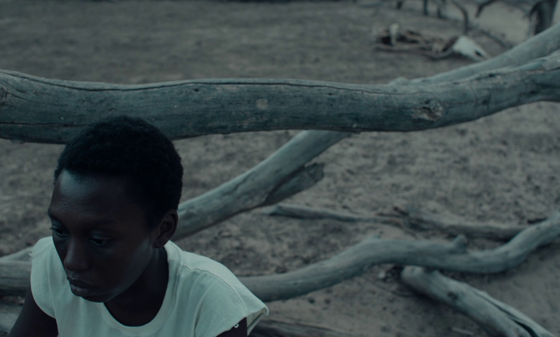 Banel & Adama (2023) —  shot,  lighting