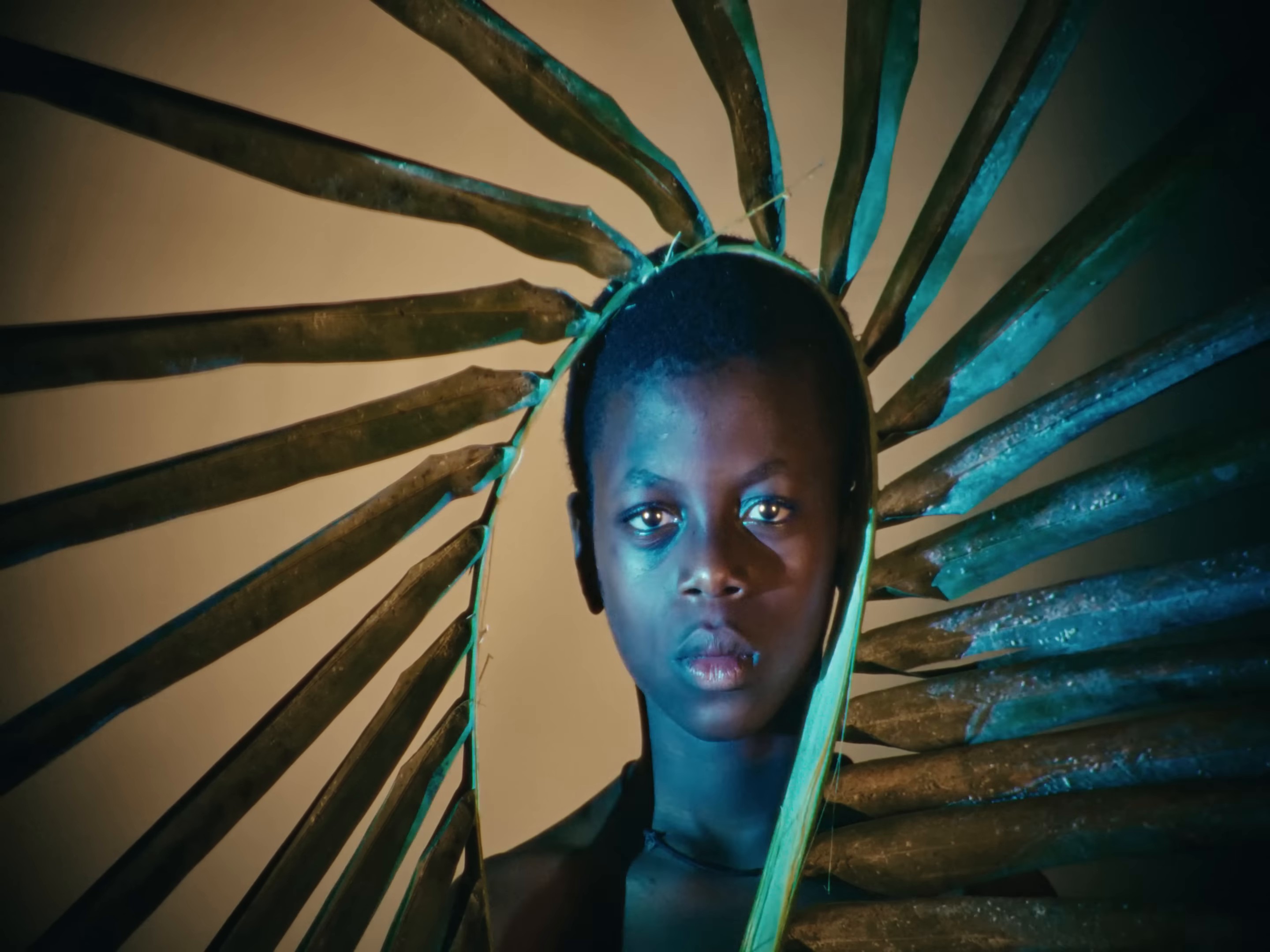 My Africa (Official Video) (2024) —  shot,  lighting